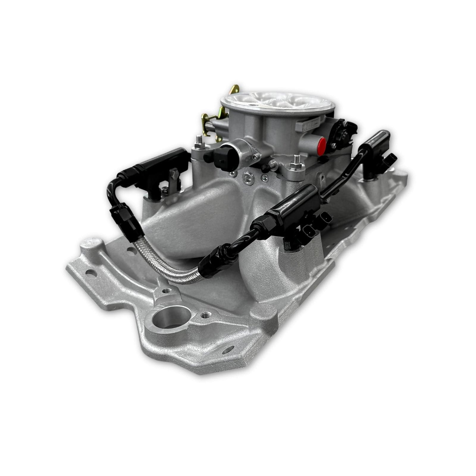 Aces Fuel Injection Wild Card EFI - Top End Kits