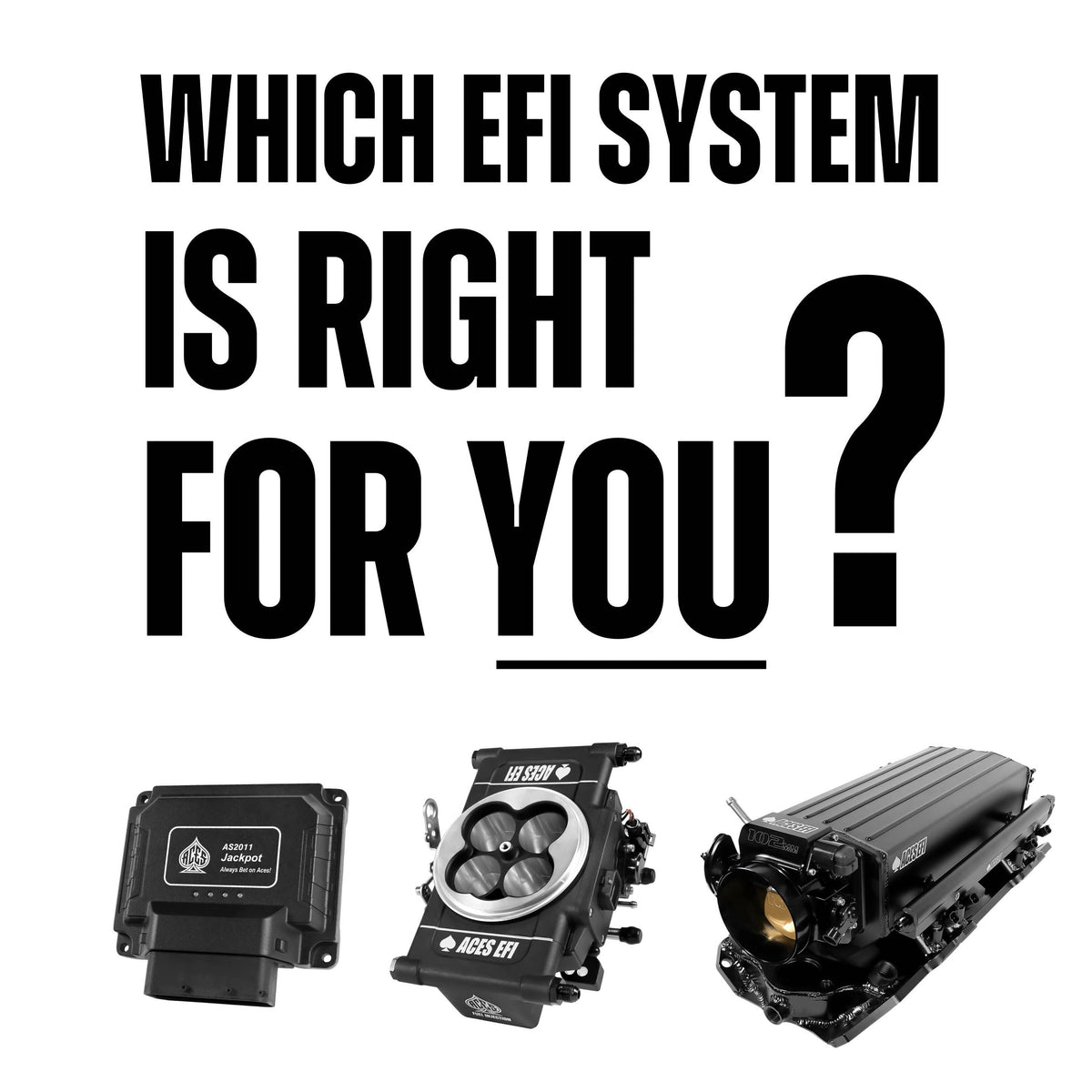 Fuel Injection Components | ACES Fuel Injection | United States