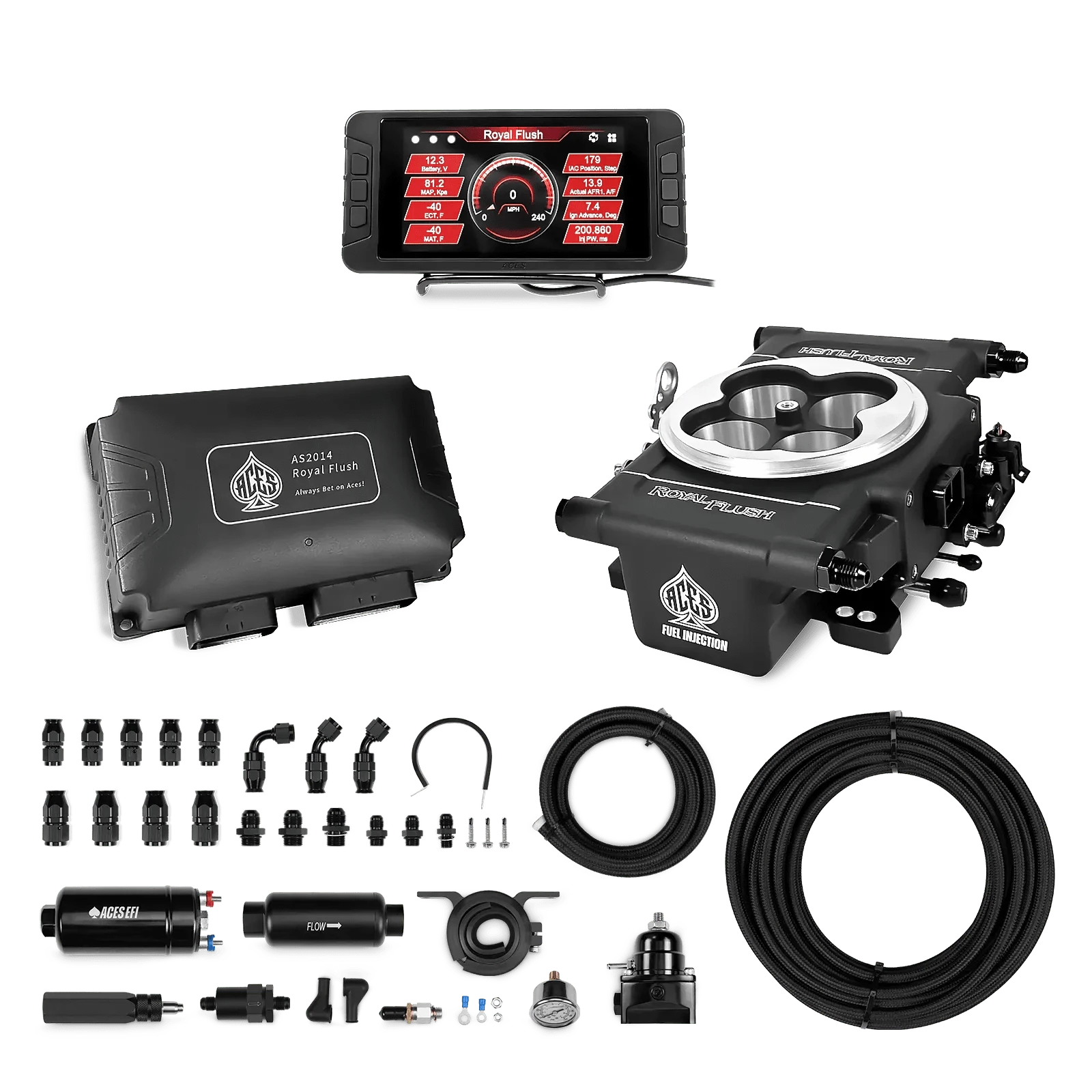Royal Flush EFI/CDI w/Fuel Delivery System