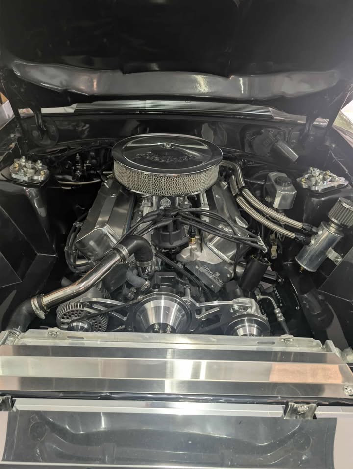 Fox Body by Jason Kochenour