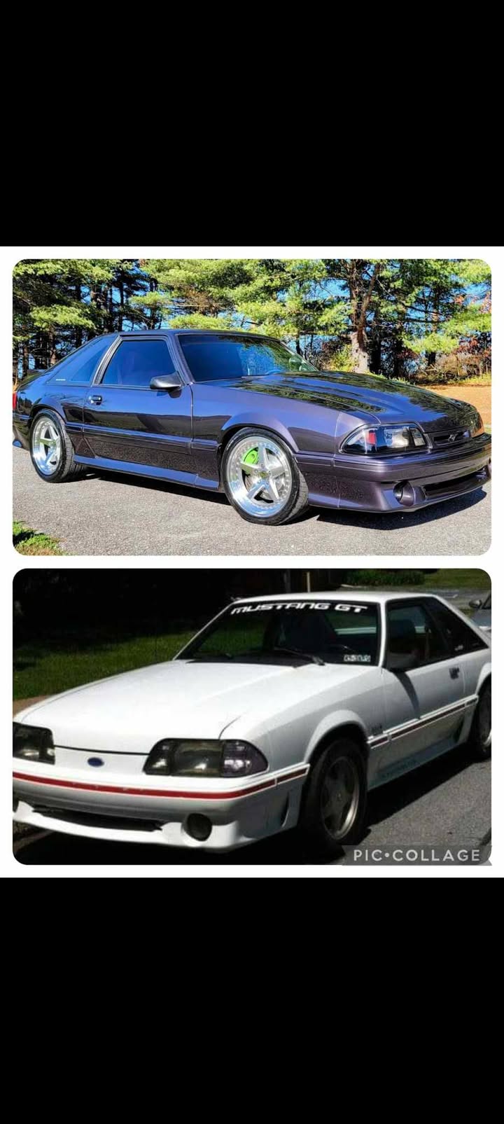 Fox Body by Jason Kochenour