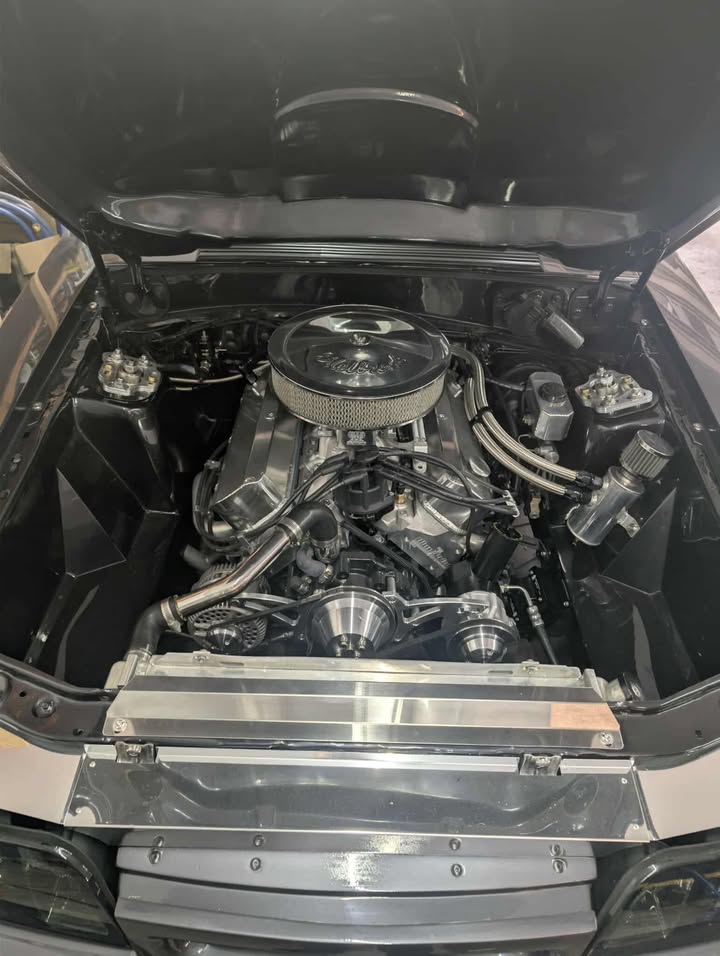 Fox Body by Jason Kochenour