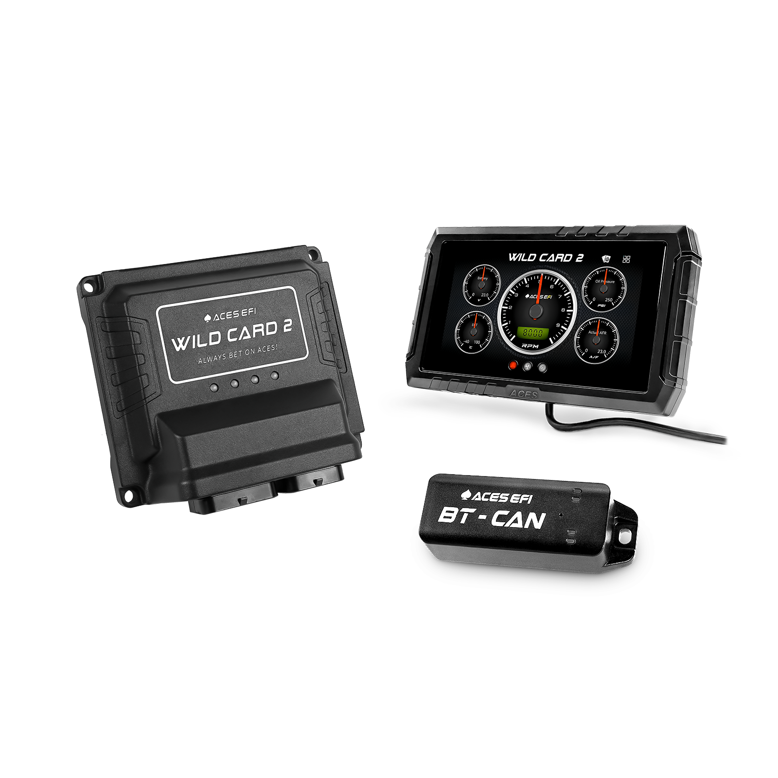 Wild Card EFI (Standalone)