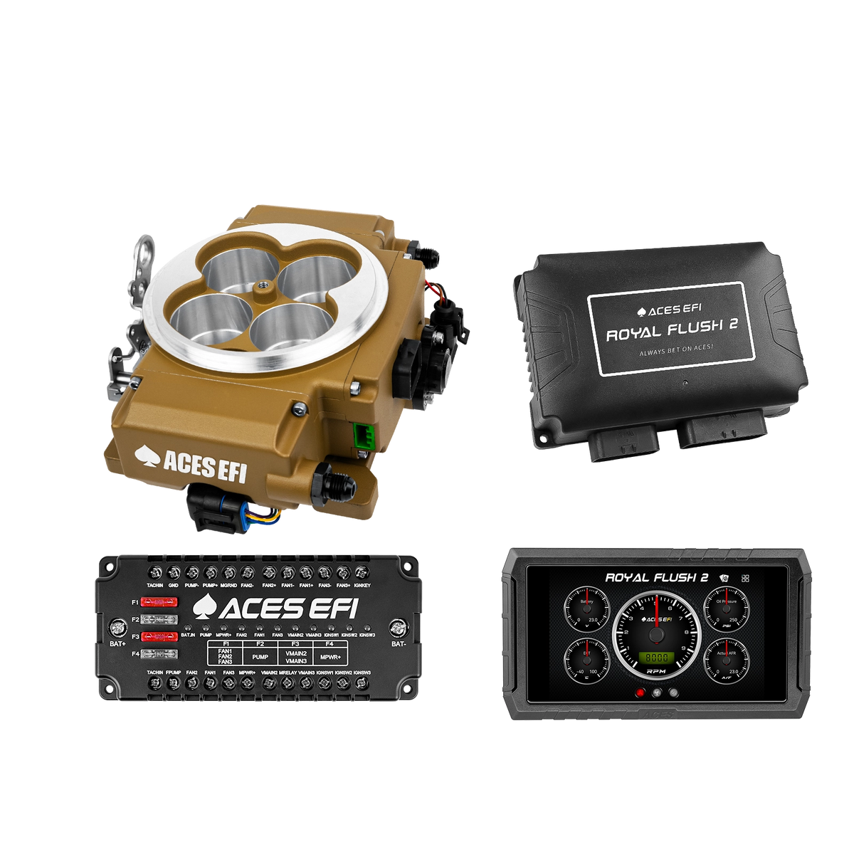 Royal Flush 2 EFI/CDI