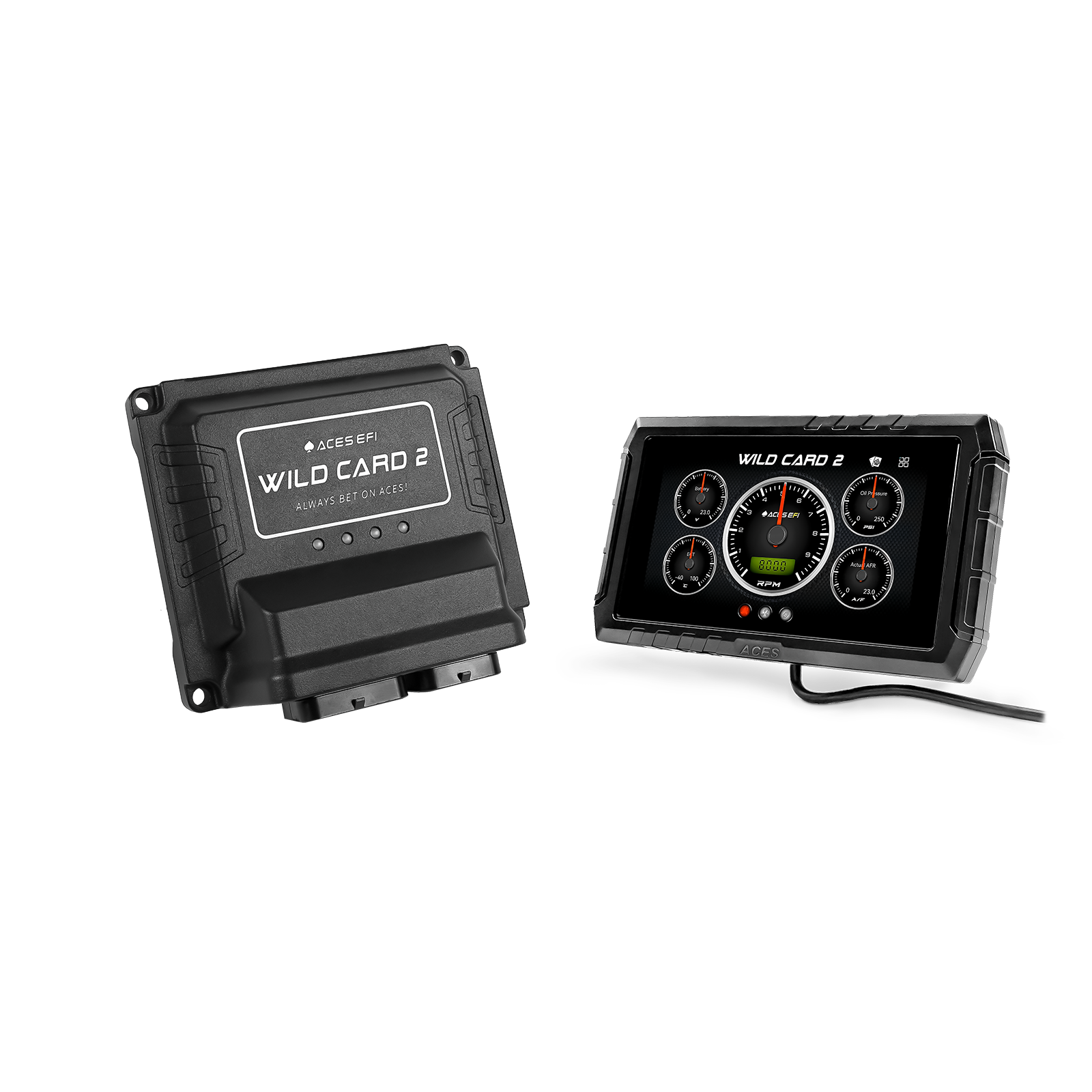 Wild Card EFI (Standalone)