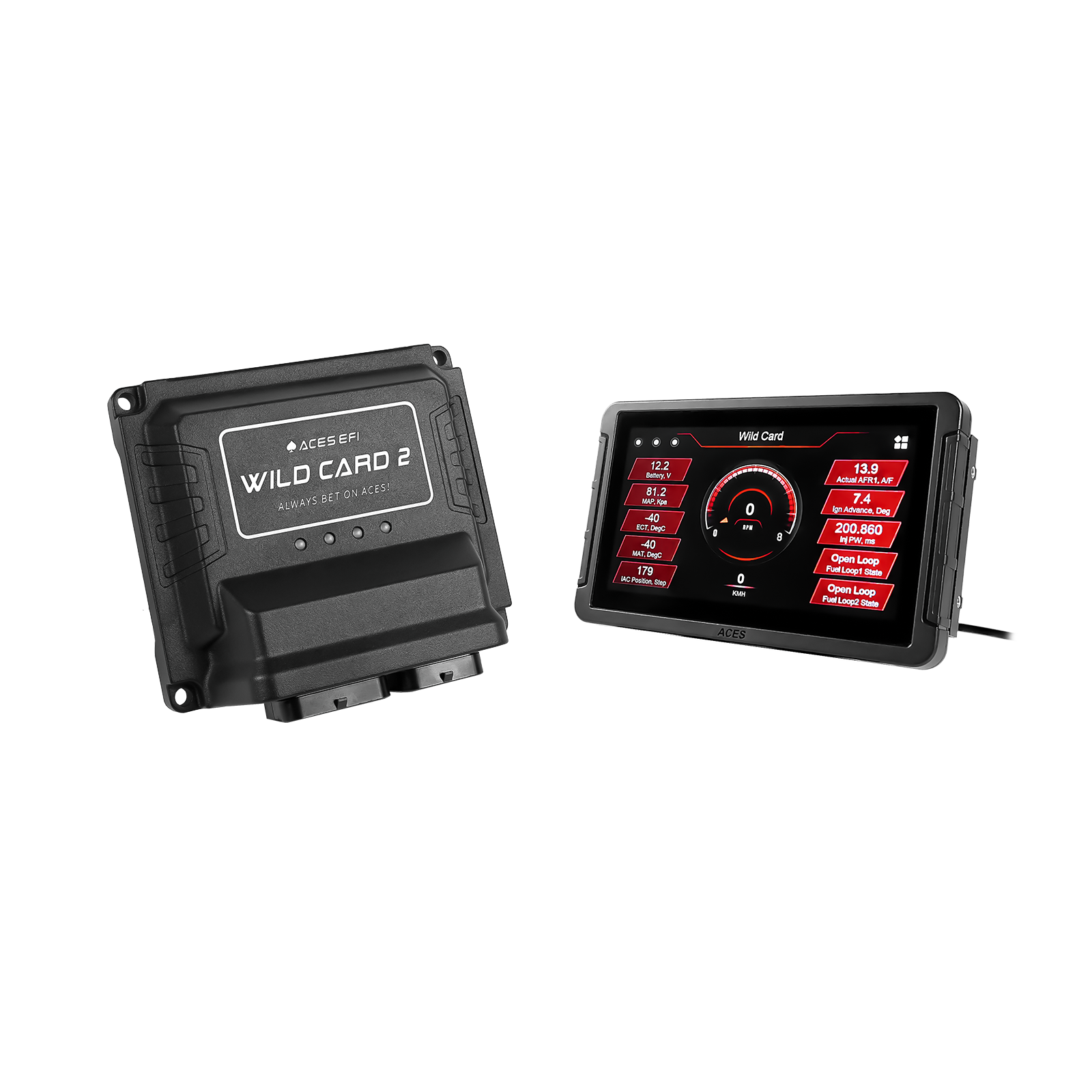 Wild Card EFI (Standalone)