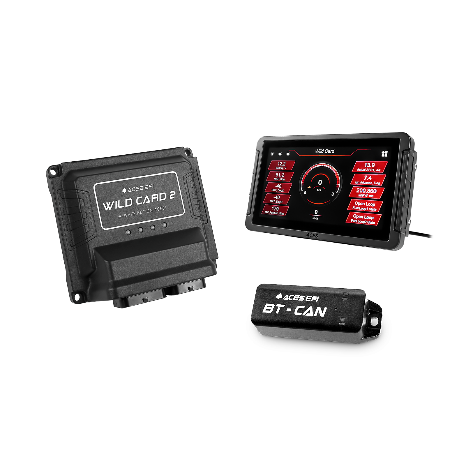 Wild Card EFI (Standalone)