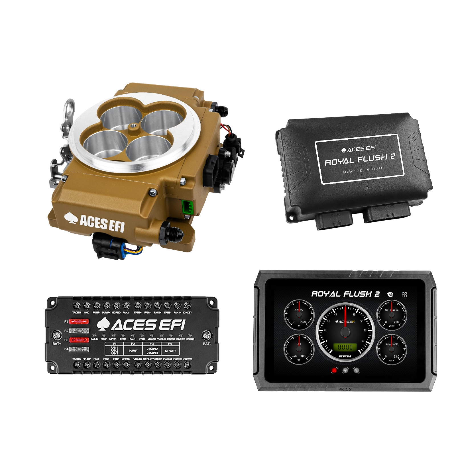 Royal Flush 2 EFI/CDI