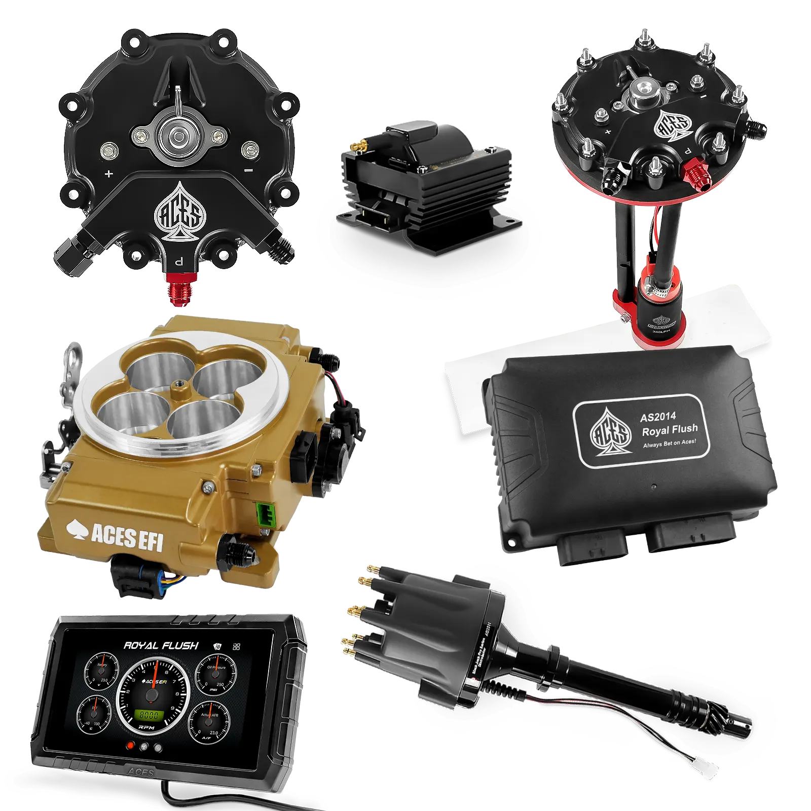 Kits maestros de Royal Flush (Oro)