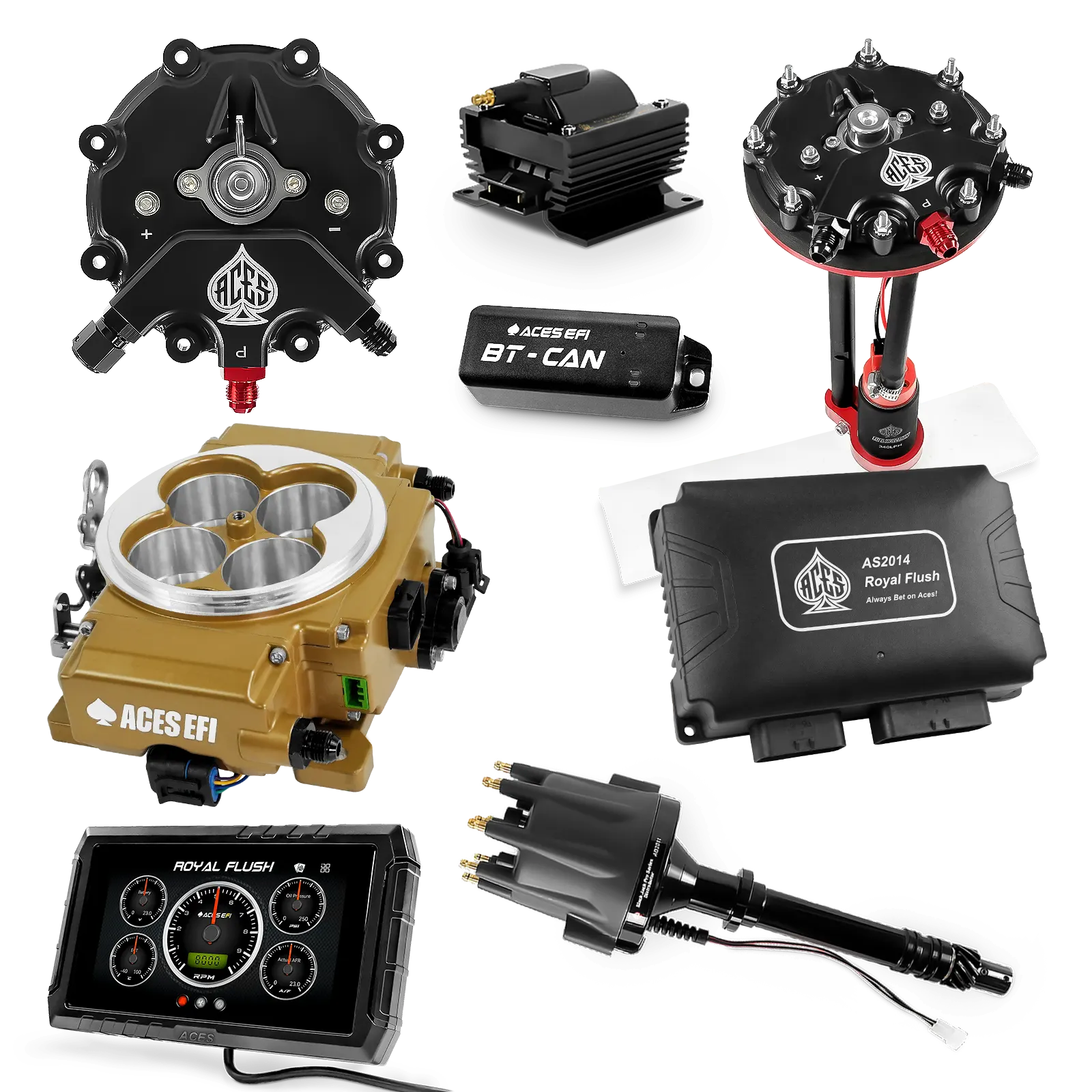 Kits maestros de Royal Flush (Oro)