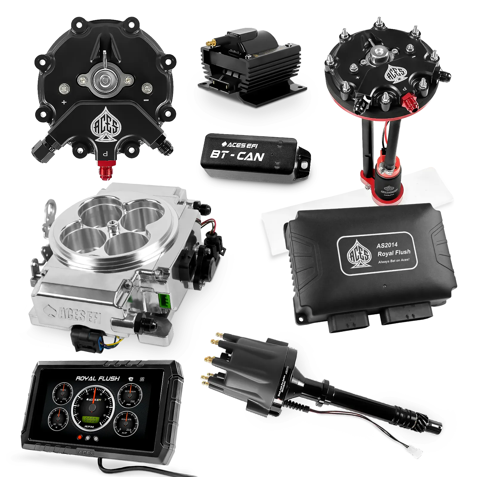 Kits maestros de Royal Flush (pulidos)