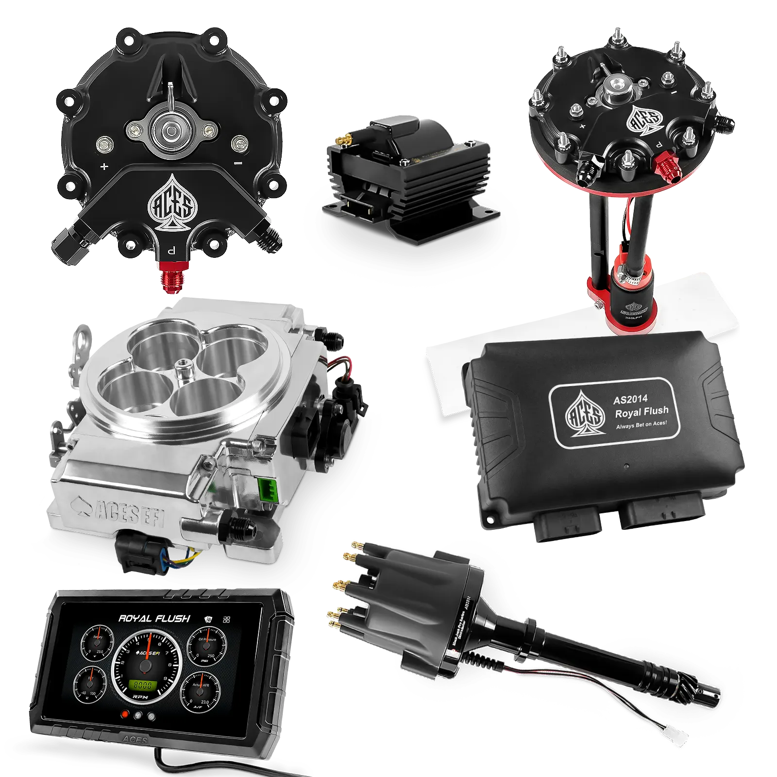 Kits maestros de Royal Flush (pulidos)