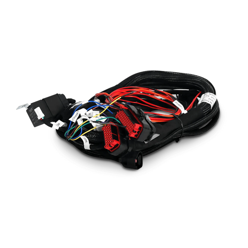 Royal Flush Main Harness (x1)