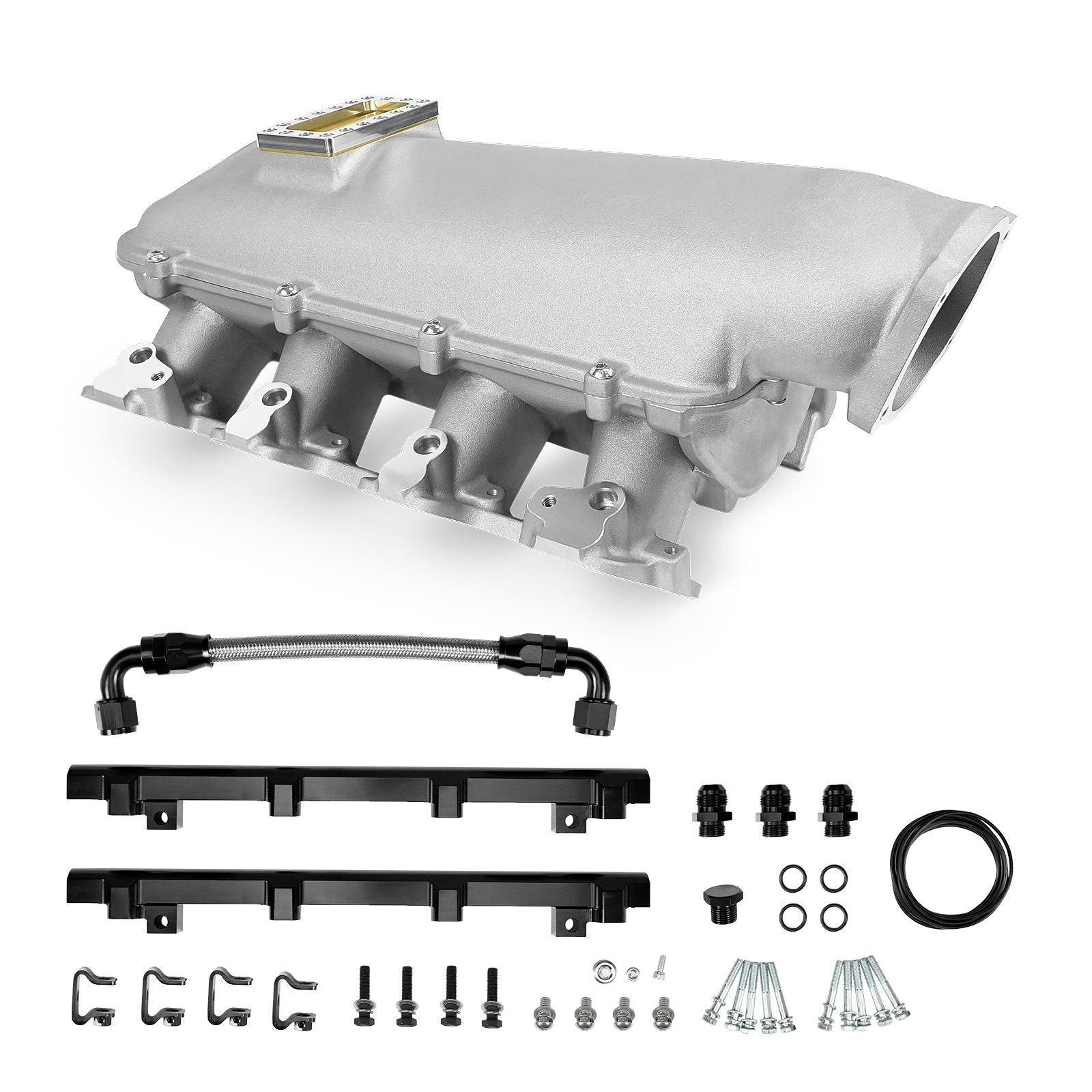 Low-Ram, Cast, 102mm LS Intake Manifold