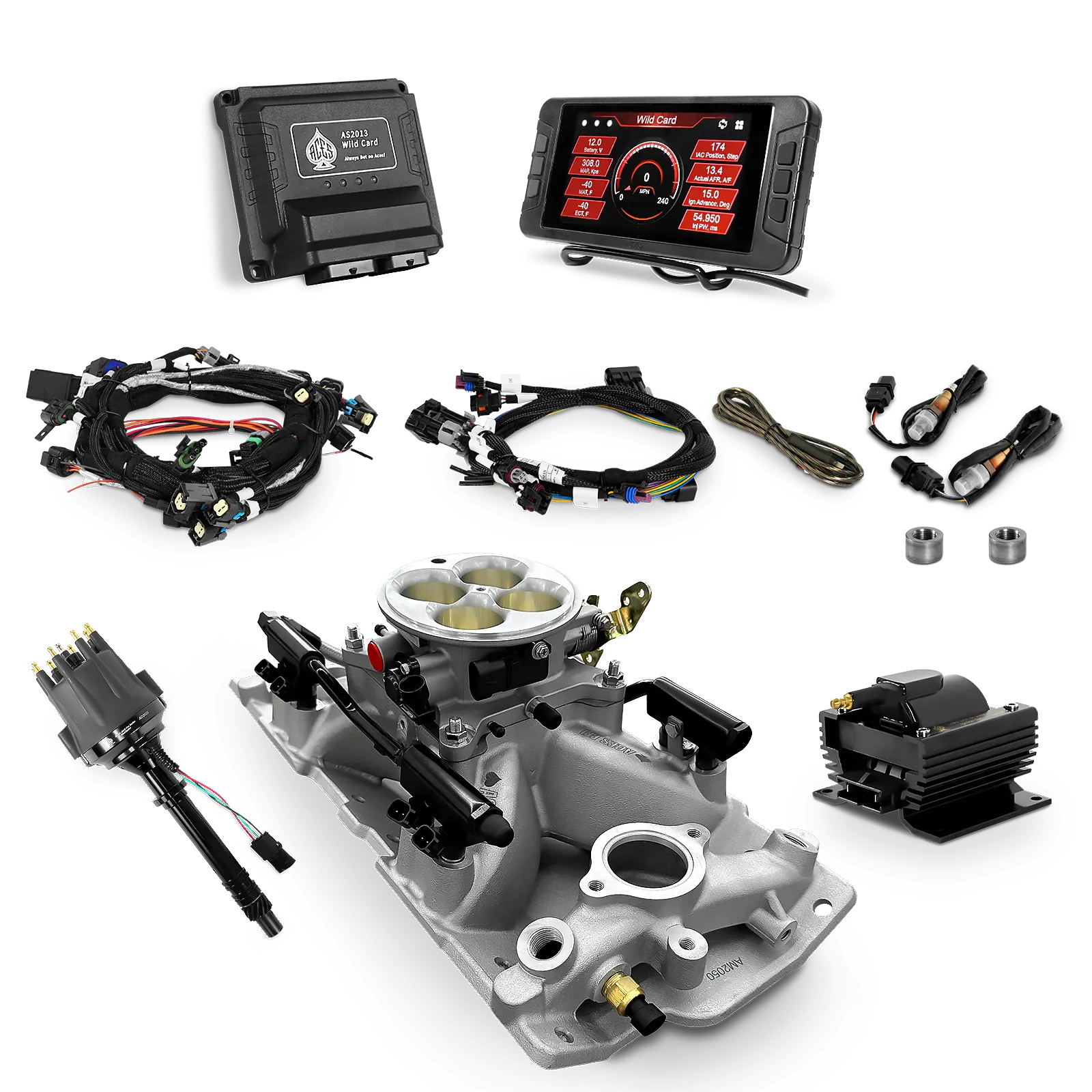 Wild Card EFI - Top End Kits