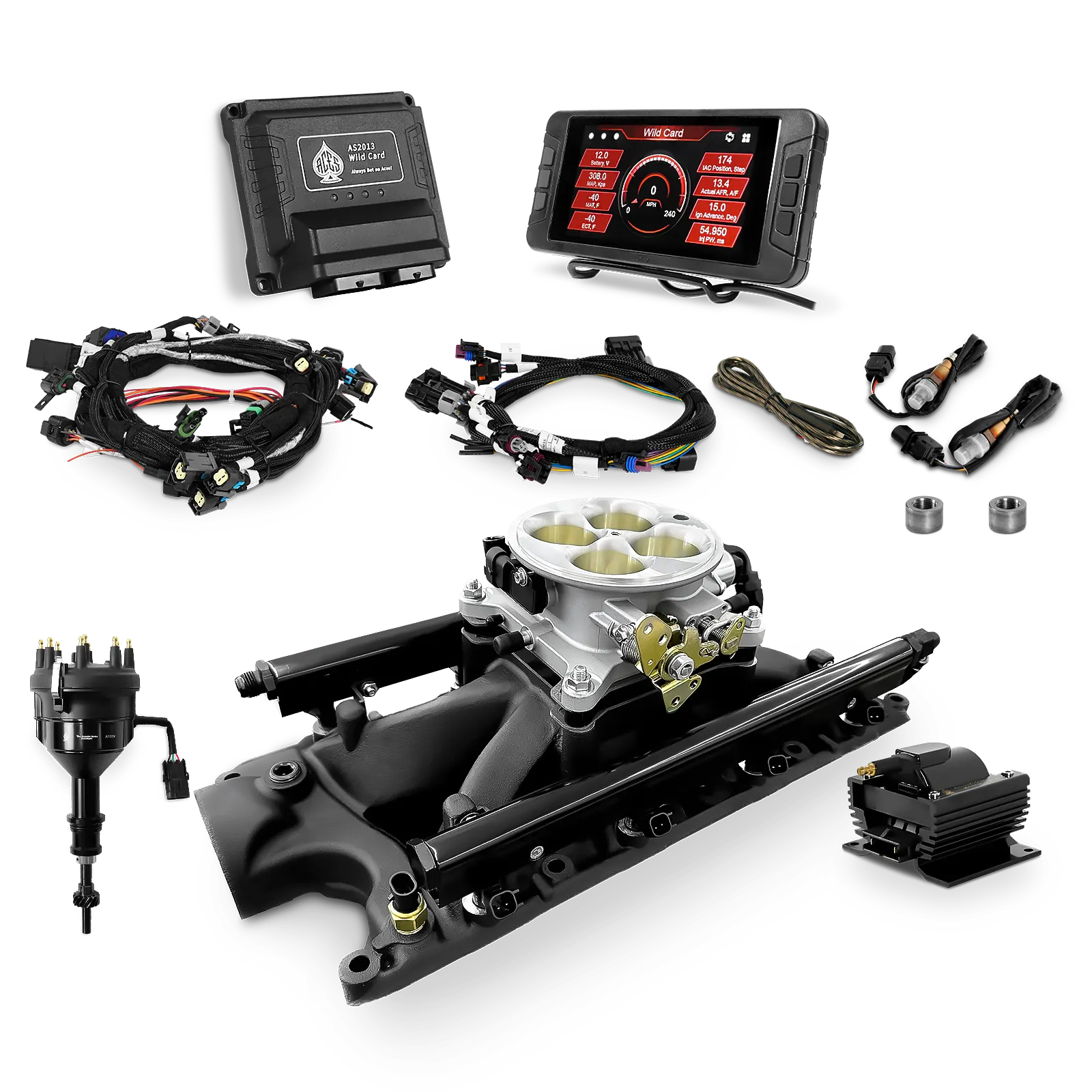 Wild Card EFI - Top End Kits