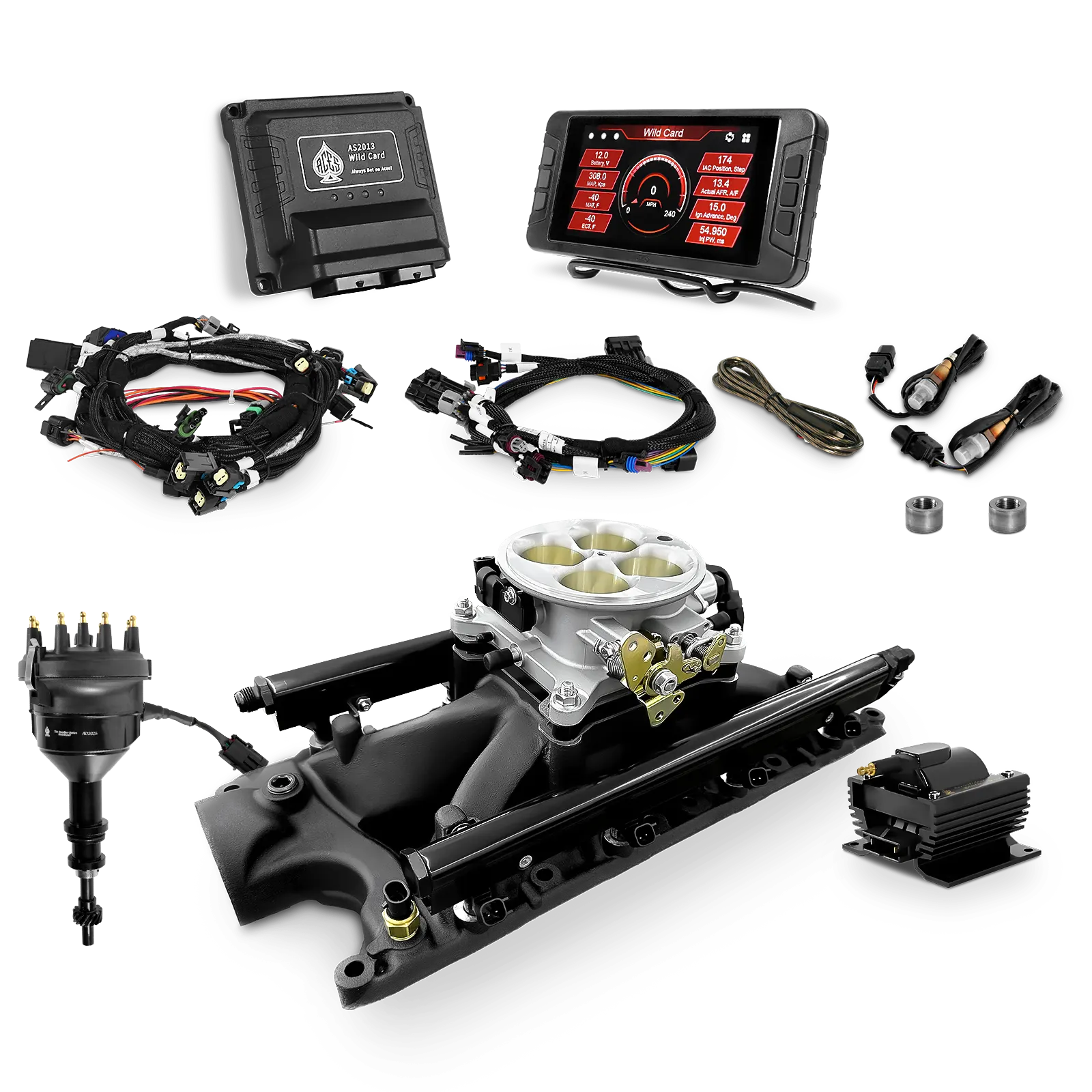 Wild Card EFI - Top End Kits