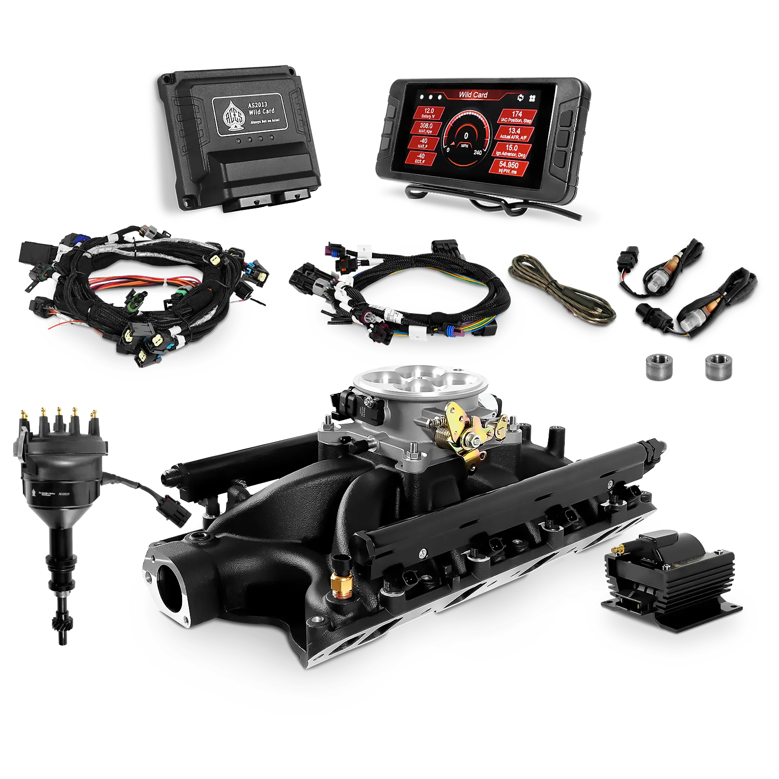 Wild Card EFI - Top End Kits