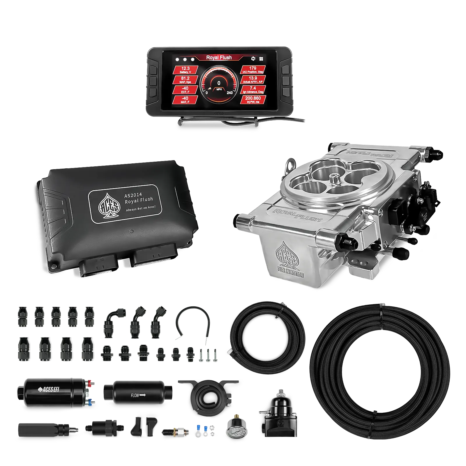 Royal Flush EFI/CDI w/Fuel Delivery System