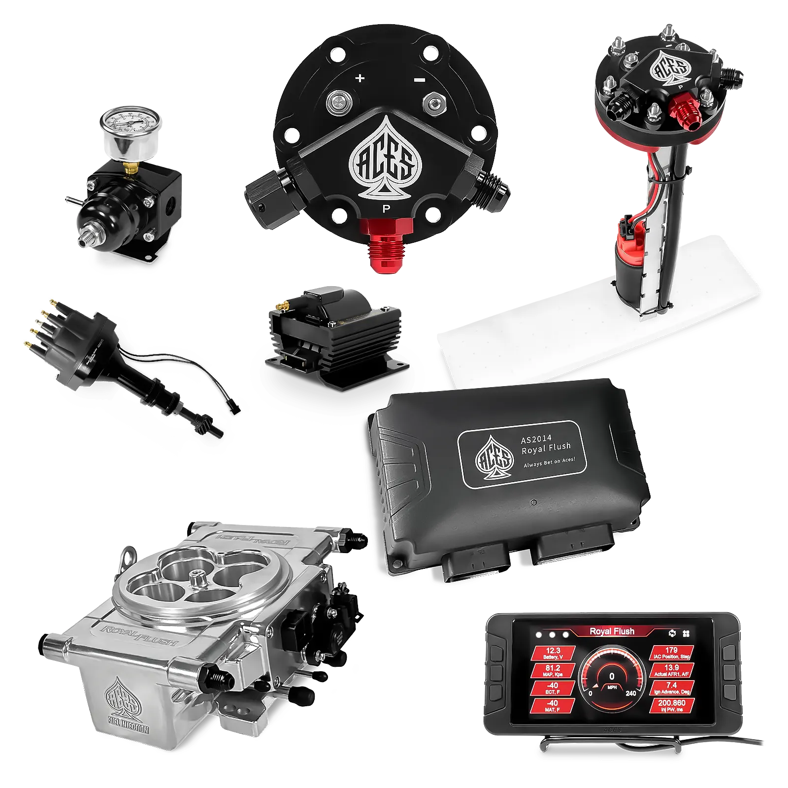 Royal Flush EFI/CDI Master Kits (Polished)