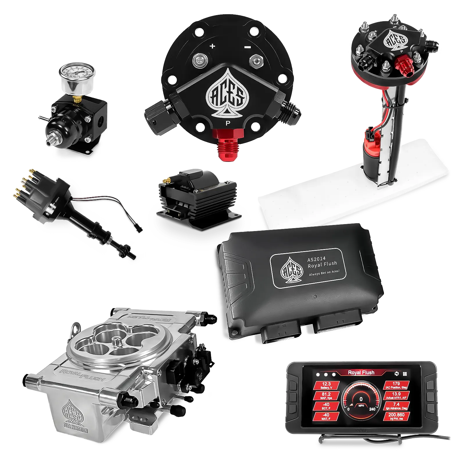 Royal Flush EFI/CDI Master Kits (Polished)