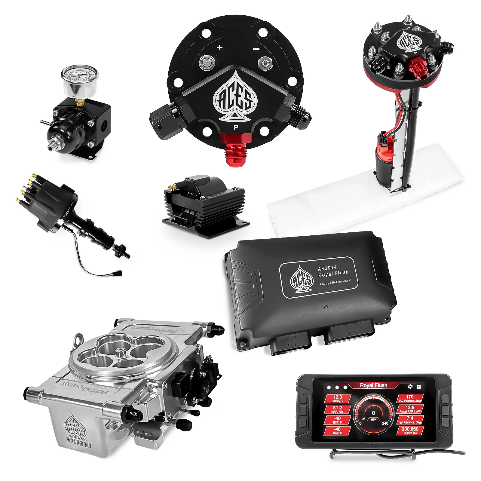 Royal Flush EFI/CDI Master Kits (Polished)