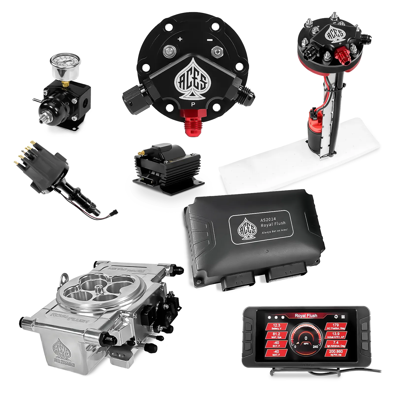 Royal Flush EFI/CDI Master Kits (Polished)