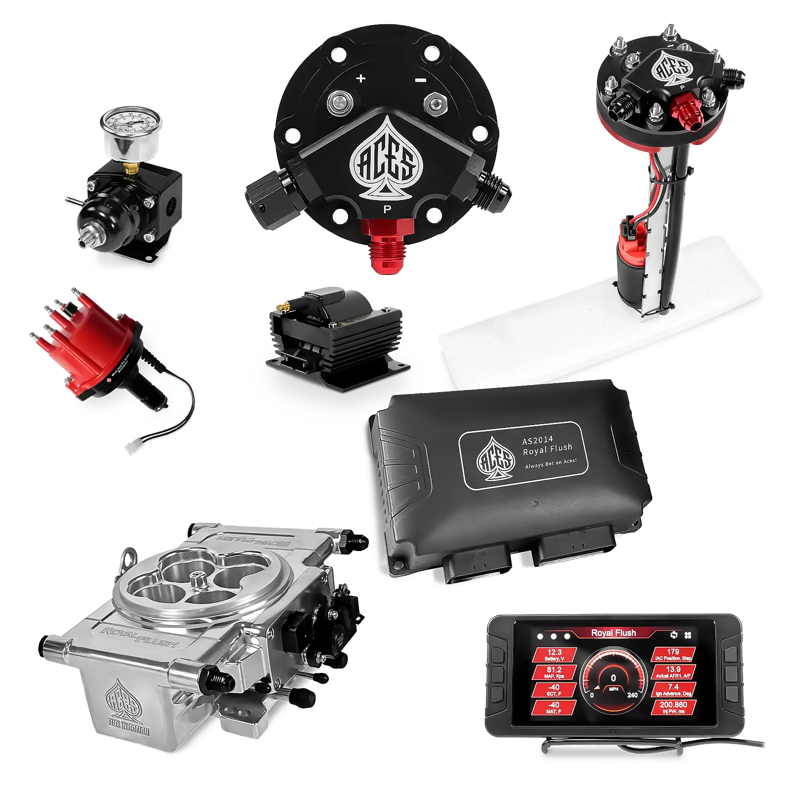 Royal Flush EFI/CDI Master Kits (Polished)