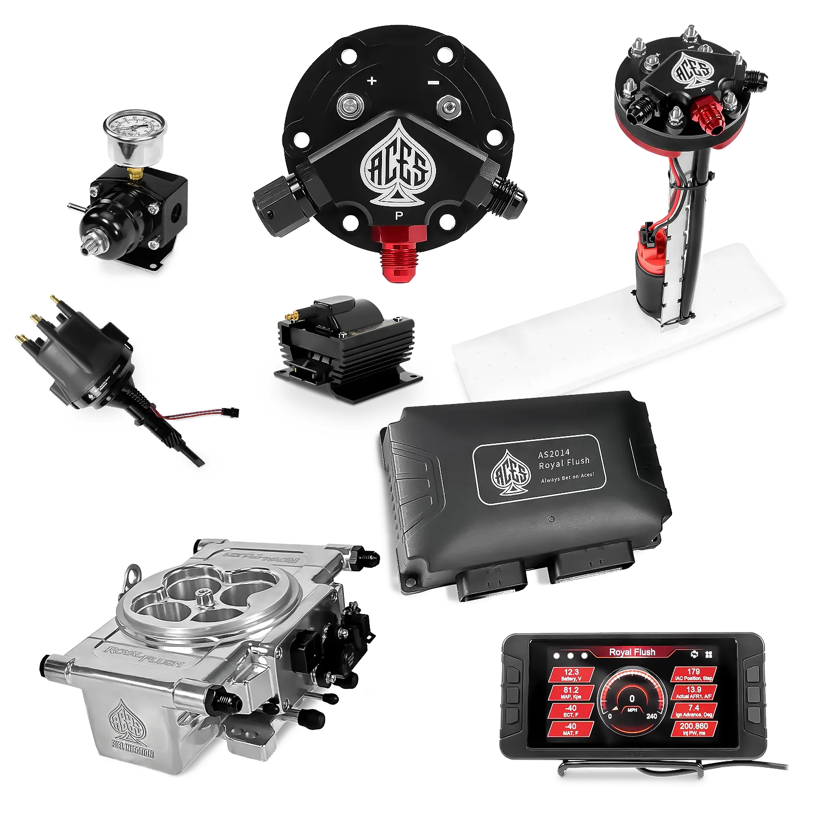 Royal Flush EFI/CDI Master Kits (Polished)