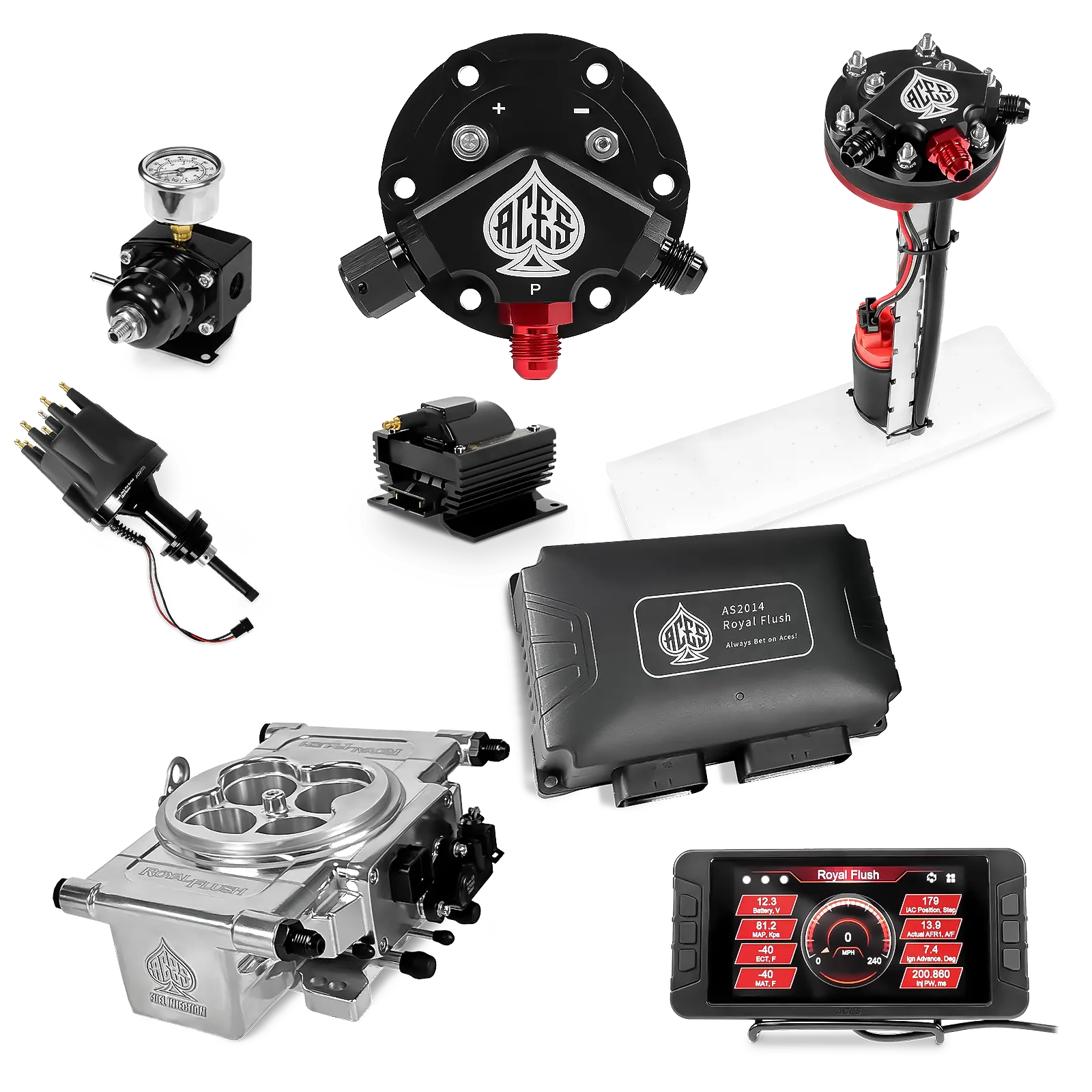 Royal Flush EFI/CDI Master Kits (Polished)