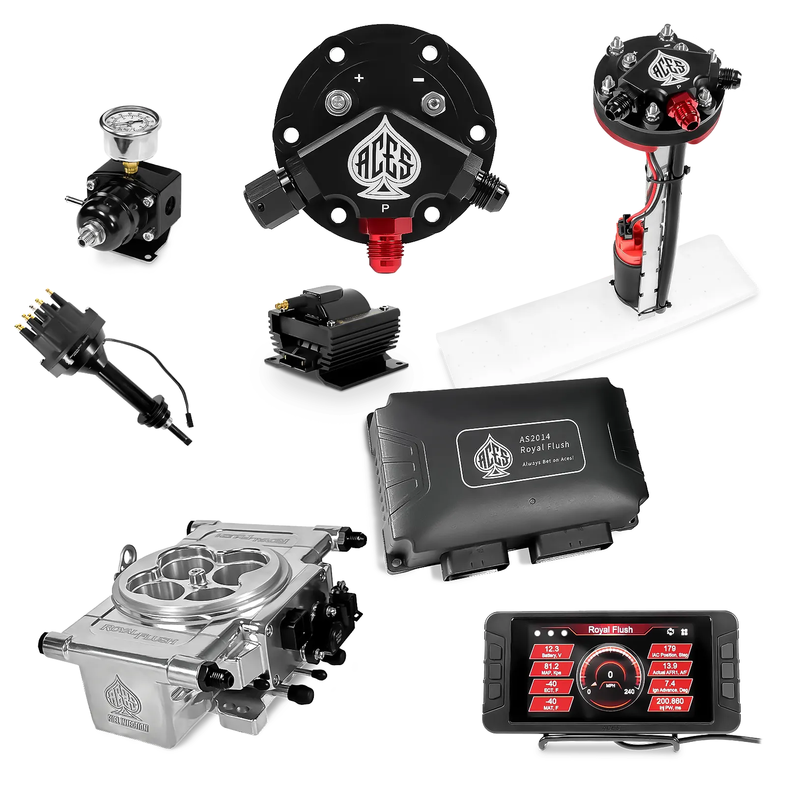 Royal Flush EFI/CDI Master Kits (Polished)