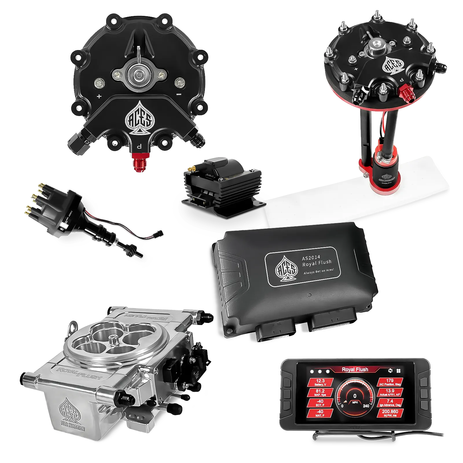 Royal Flush EFI/CDI Master Kits (Polished)