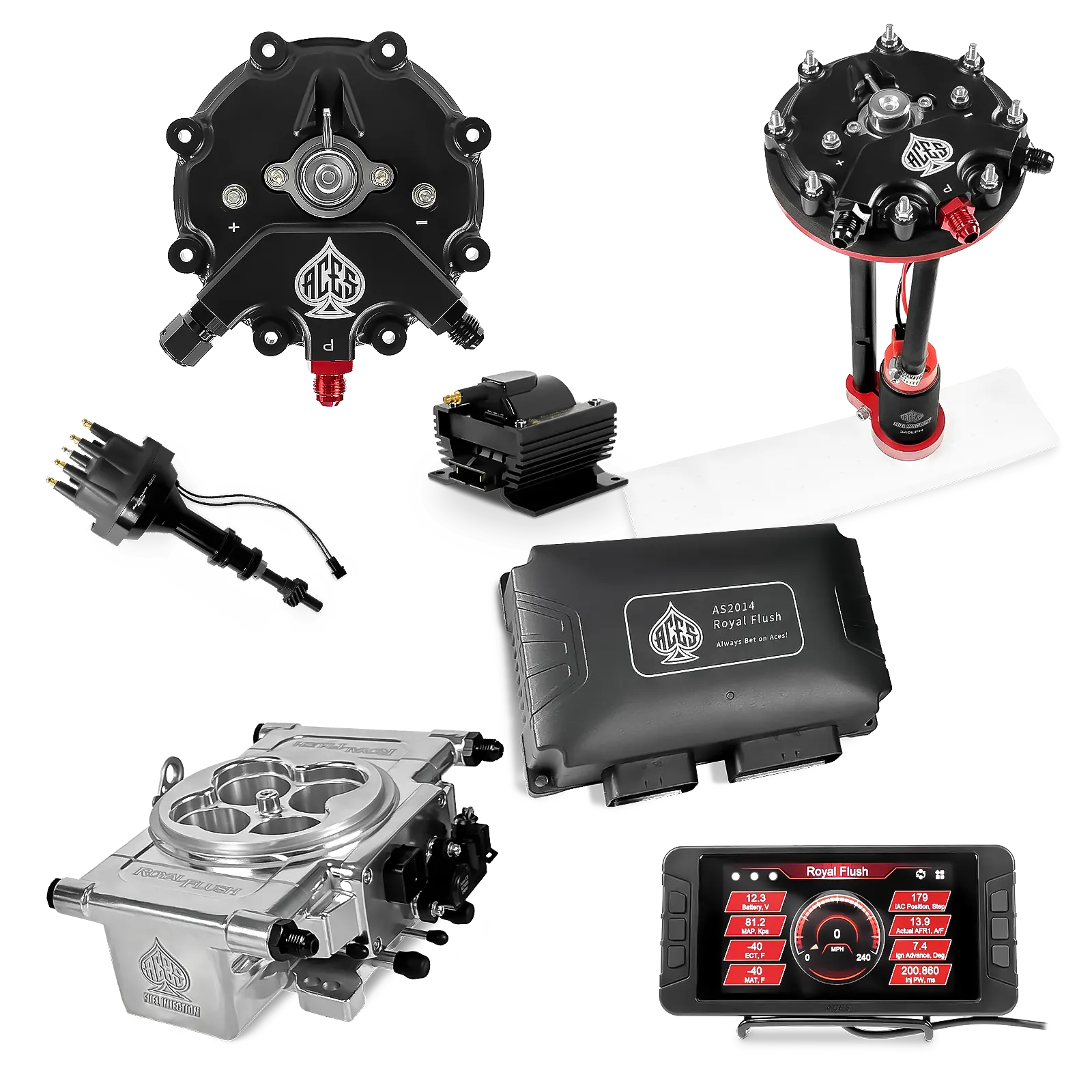 Royal Flush EFI/CDI Master Kits (Polished)