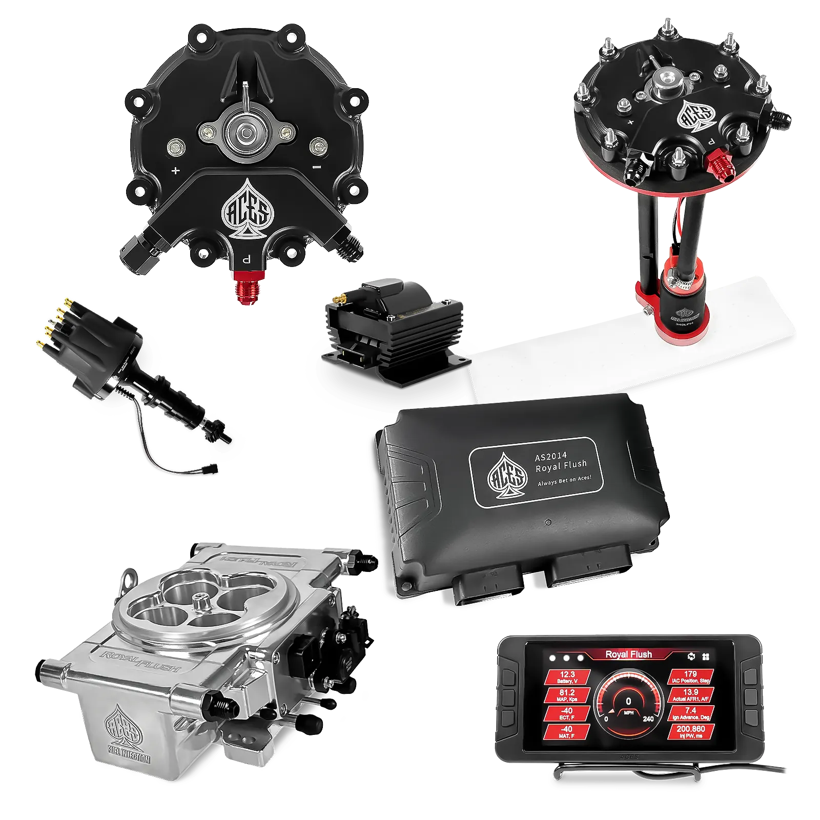 Royal Flush EFI/CDI Master Kits (Polished)