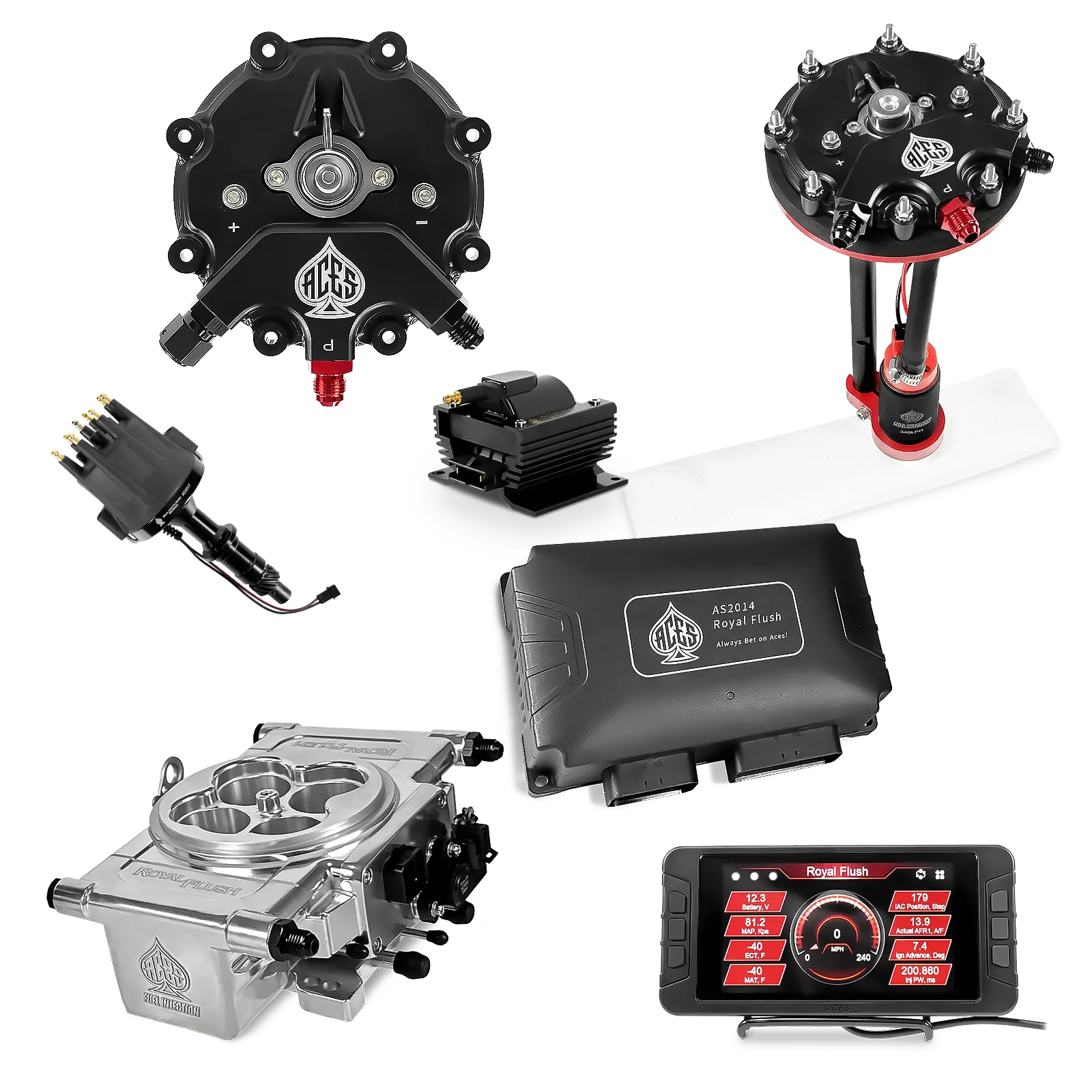 Royal Flush EFI/CDI Master Kits (Polished)