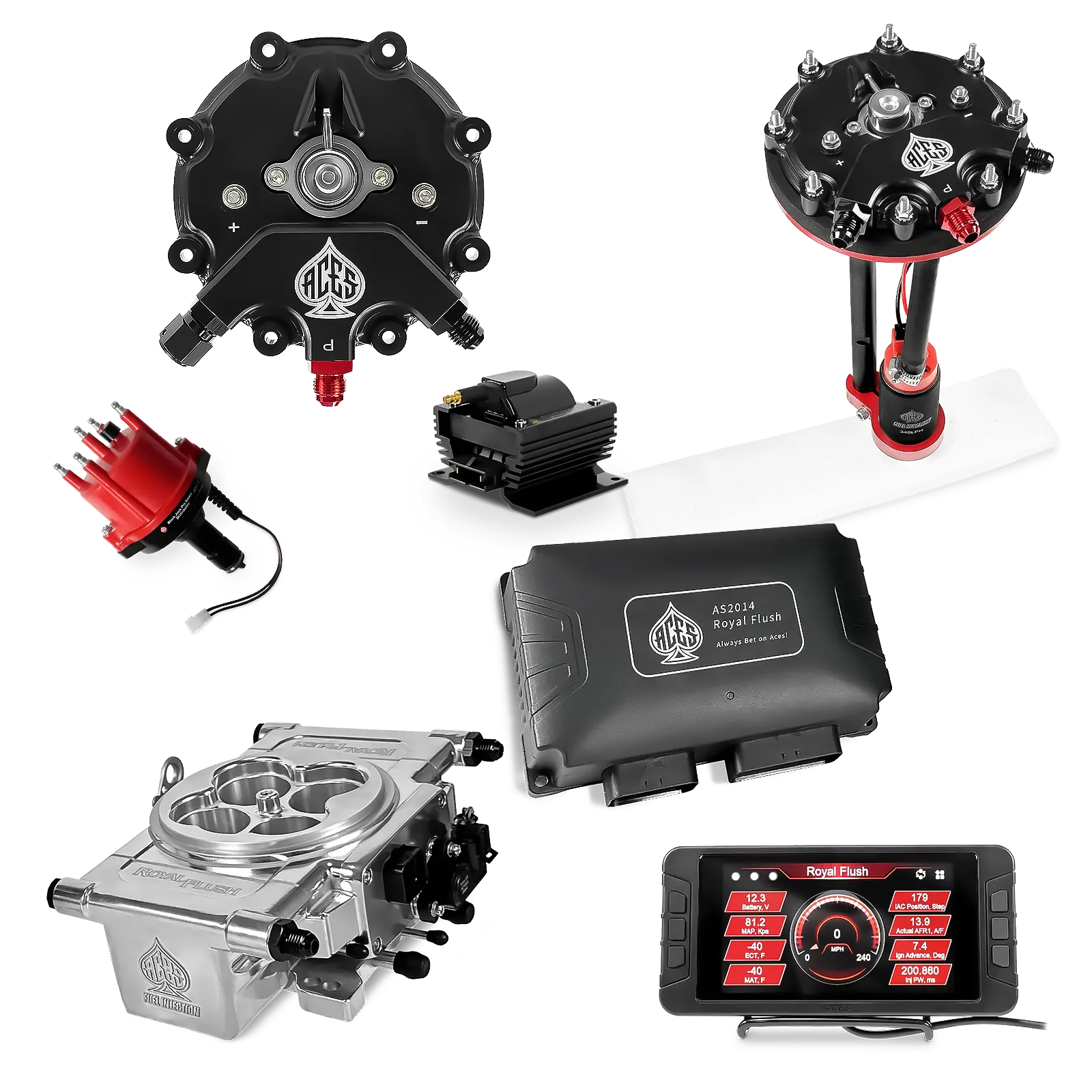 Royal Flush EFI/CDI Master Kits (Polished)