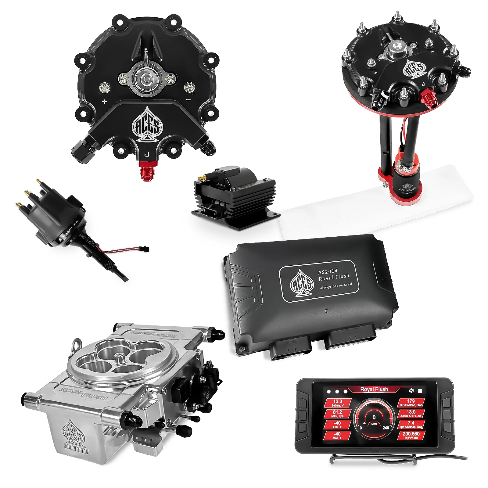 Royal Flush EFI/CDI Master Kits (Polished)