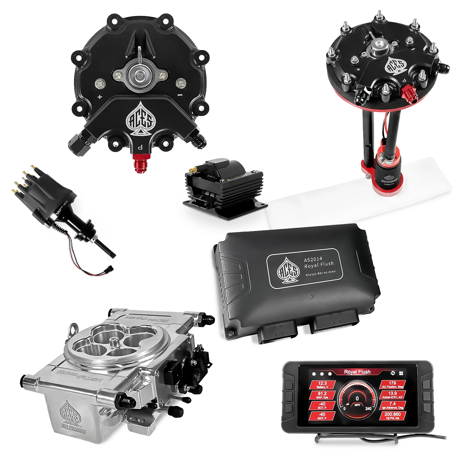 Royal Flush EFI/CDI Master Kits (Polished)