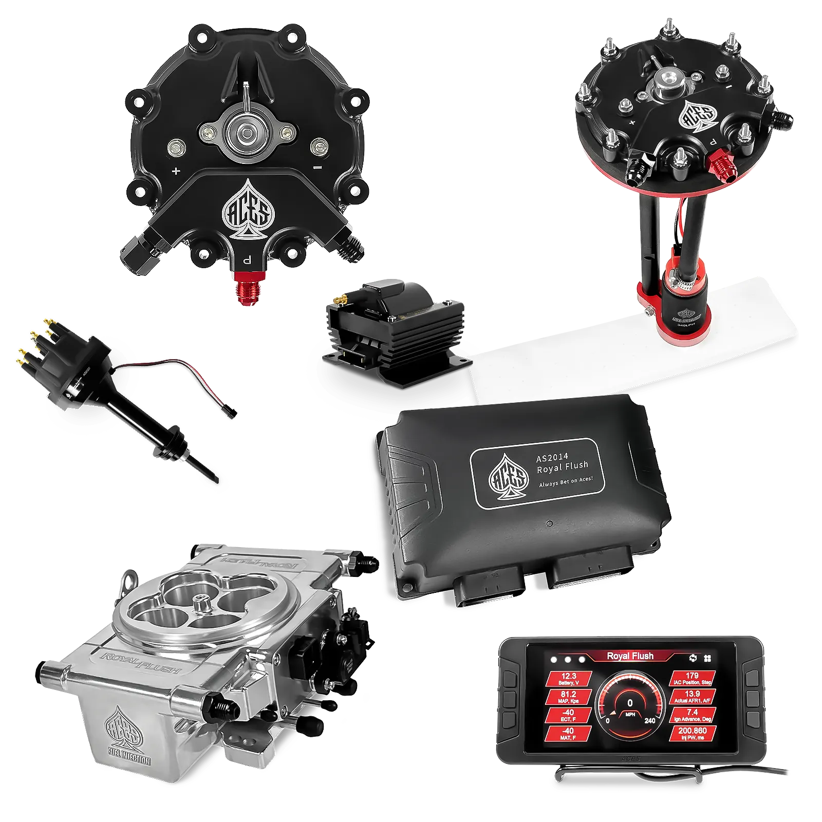 Royal Flush EFI/CDI Master Kits (Polished)