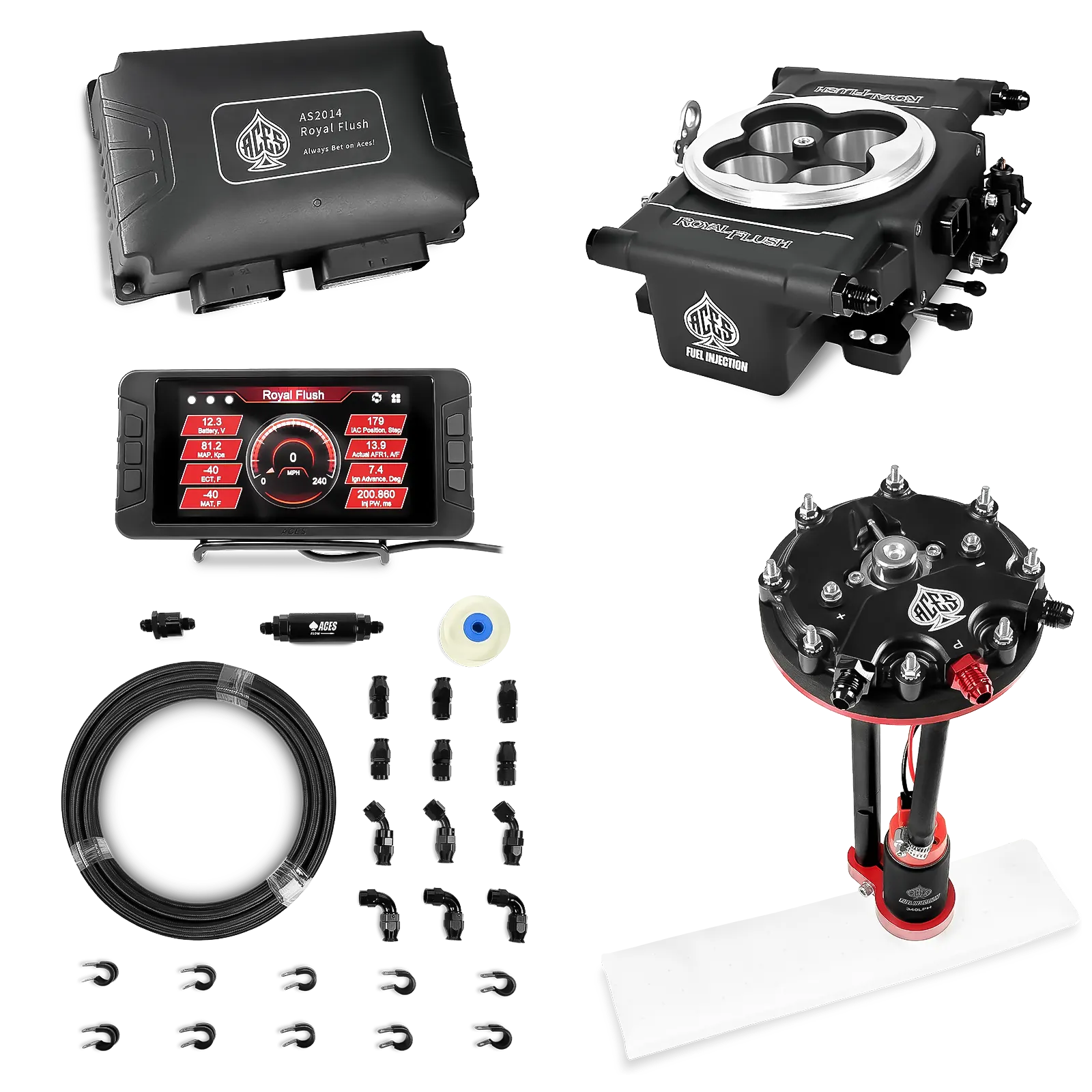 Royal Flush EFI/CDI w/Fuel Delivery System