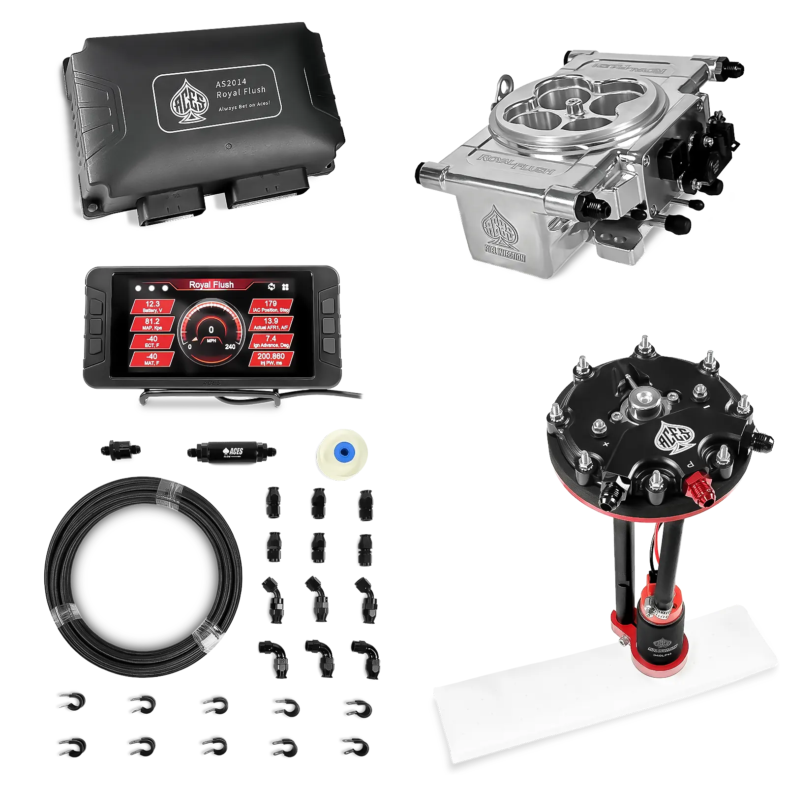 Royal Flush EFI/CDI w/Fuel Delivery System