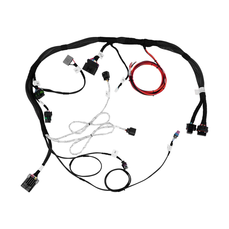 Wild Card 2 Main Harness (x1)