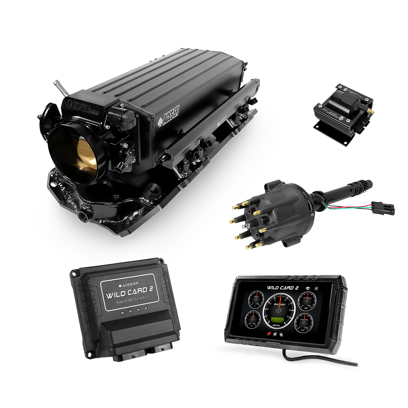 Wild Card EFI - Top End Kits