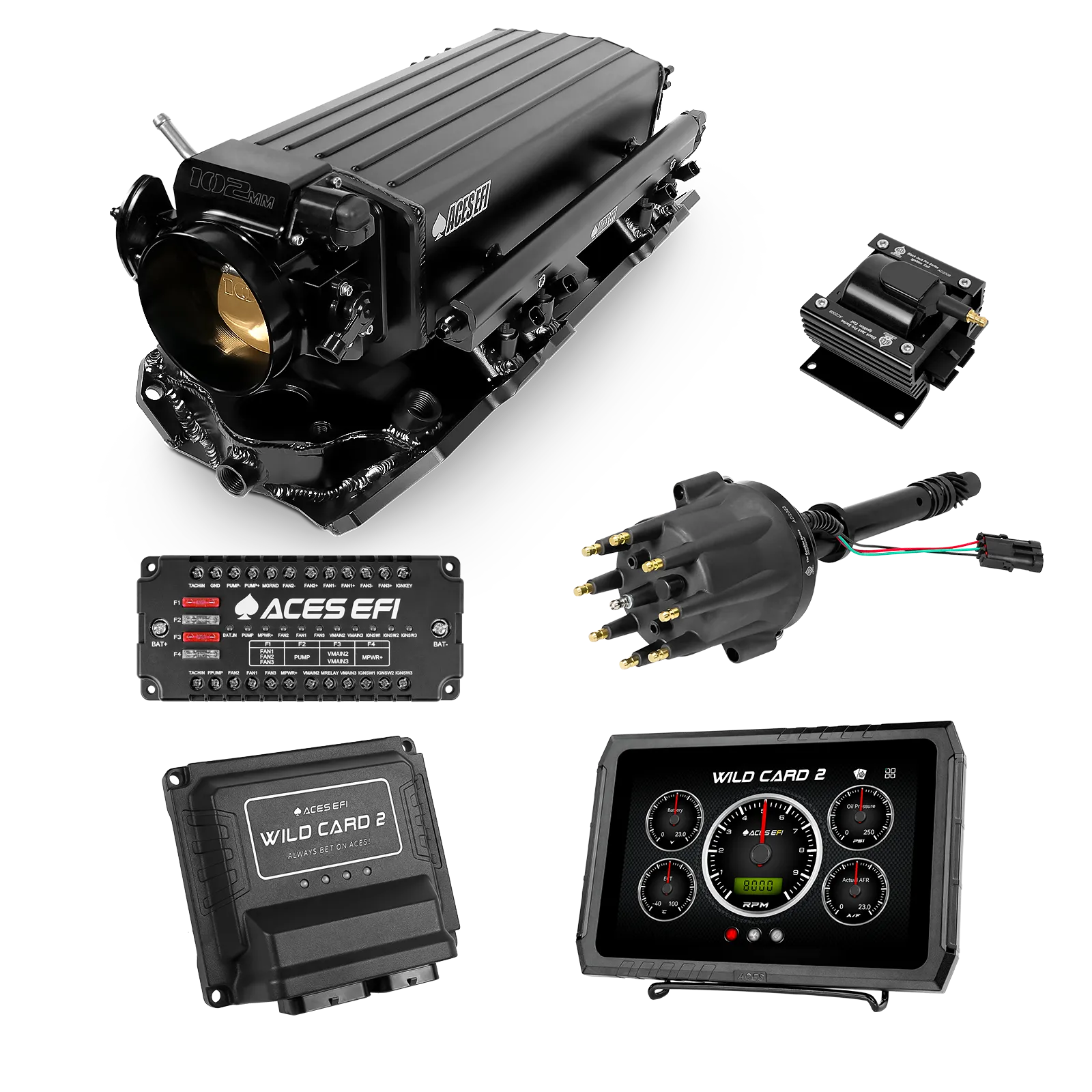 Wild Card 2 EFI - Top End Kits