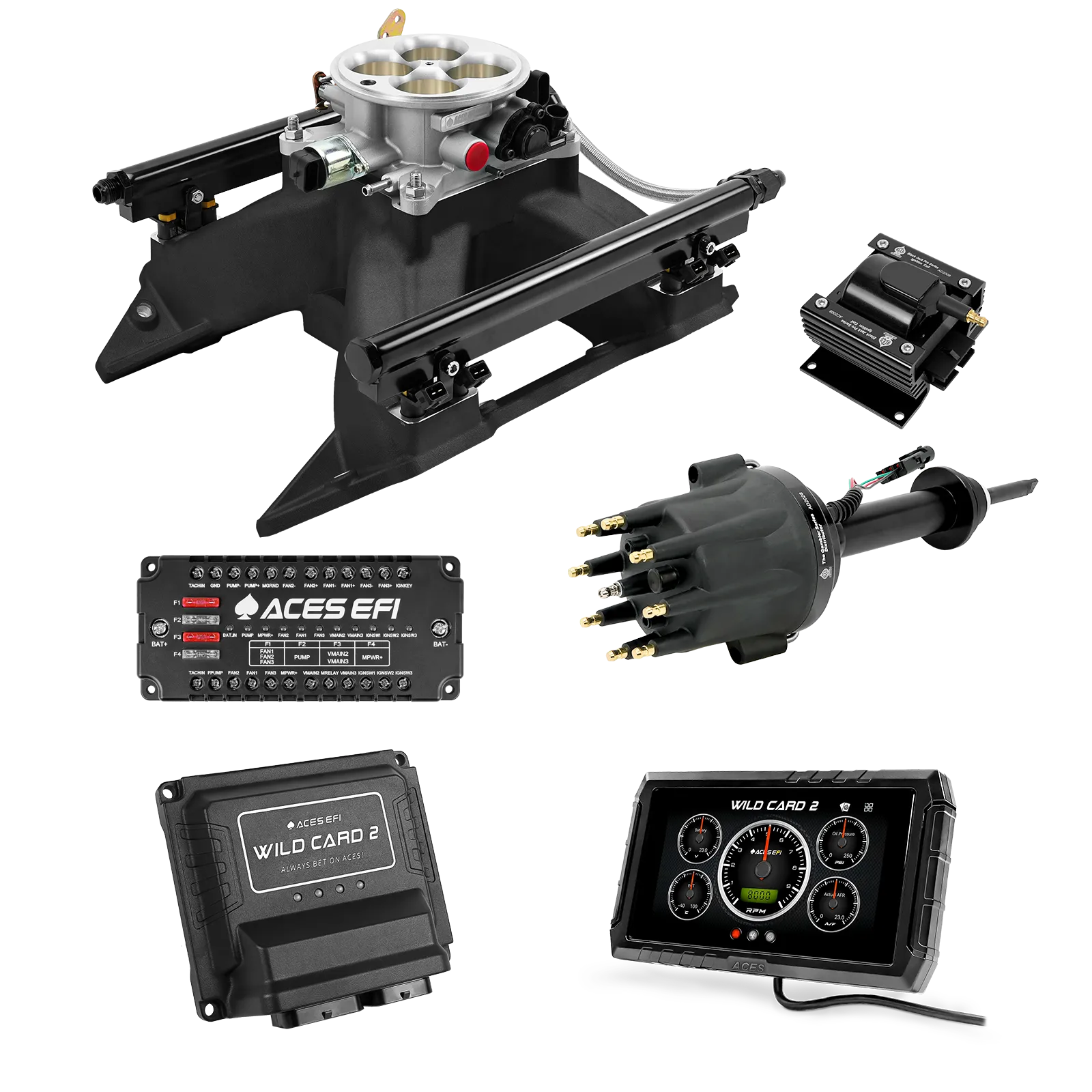 Kits de gama alta Wild Card 2 EFI
