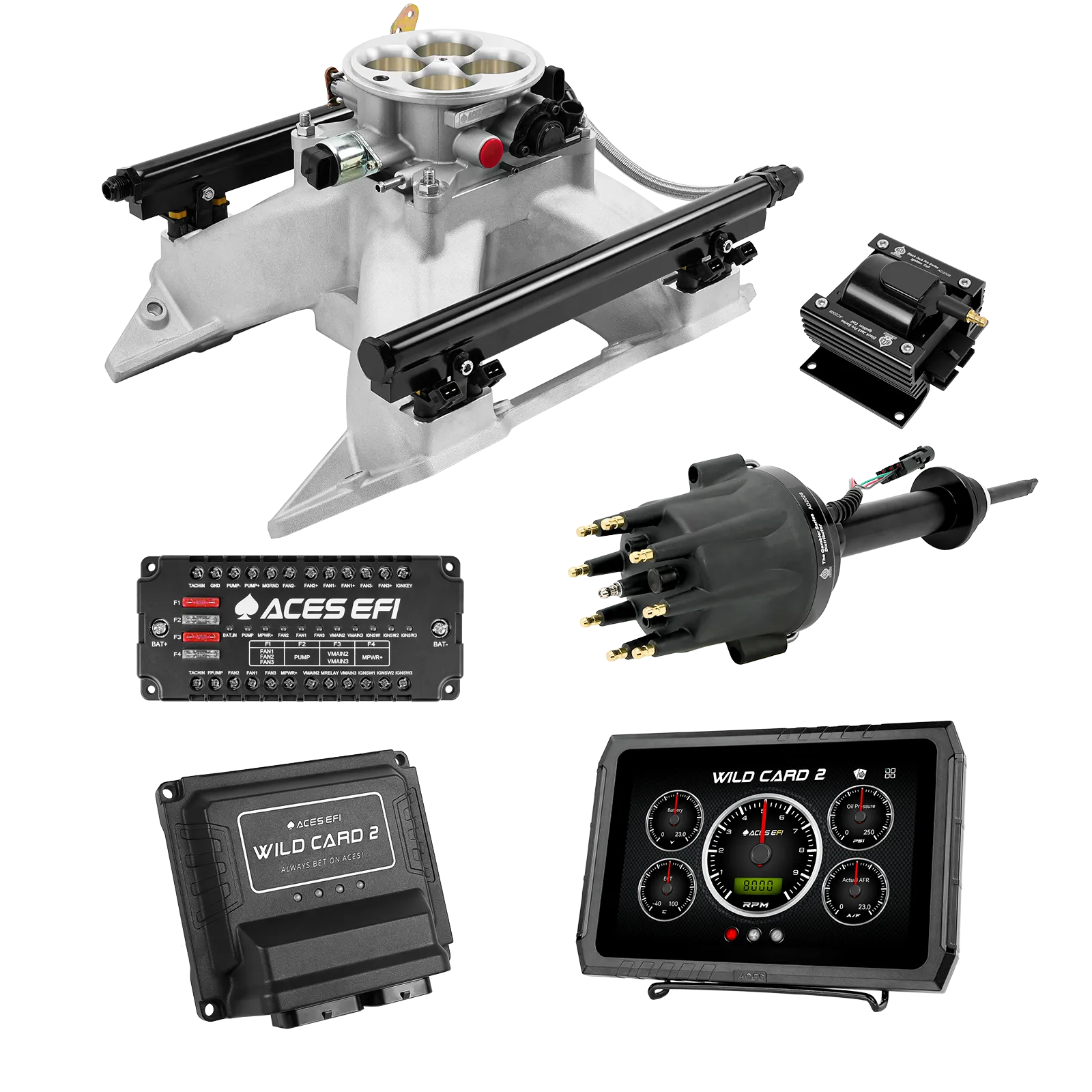 Wild Card 2 EFI - Top End Kits