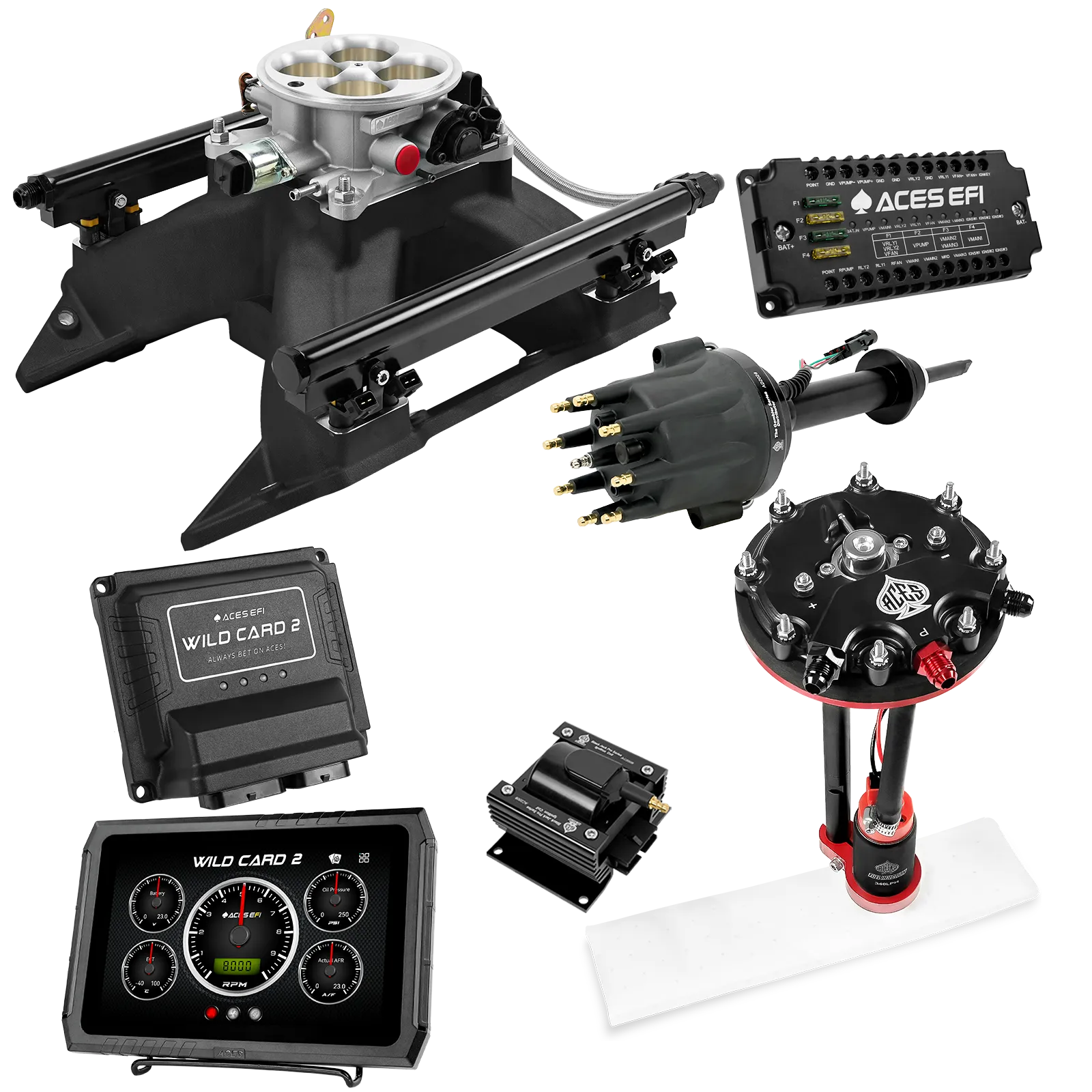 Kits maestros EFI secuenciales Wild Card 2 (500 CV)