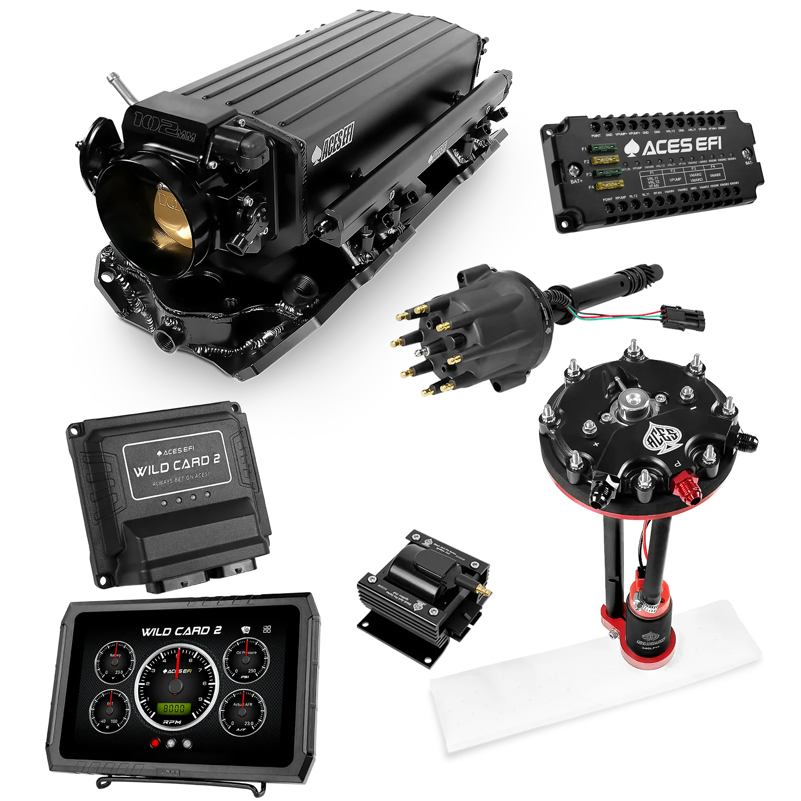 Kits maestros EFI secuenciales Wild Card 2 (500 CV)