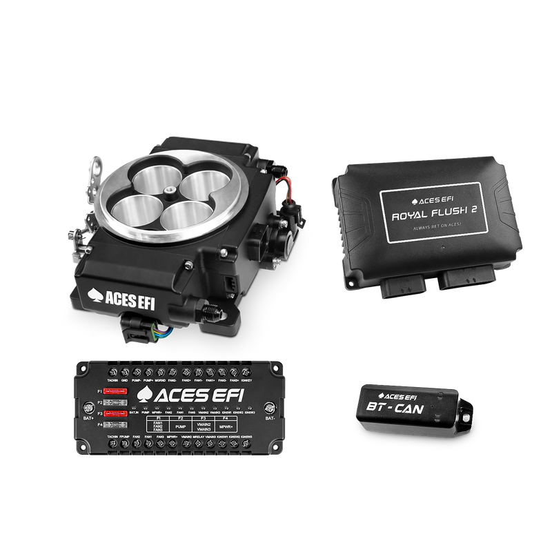 Royal Flush 2 EFI/CDI Standalone System