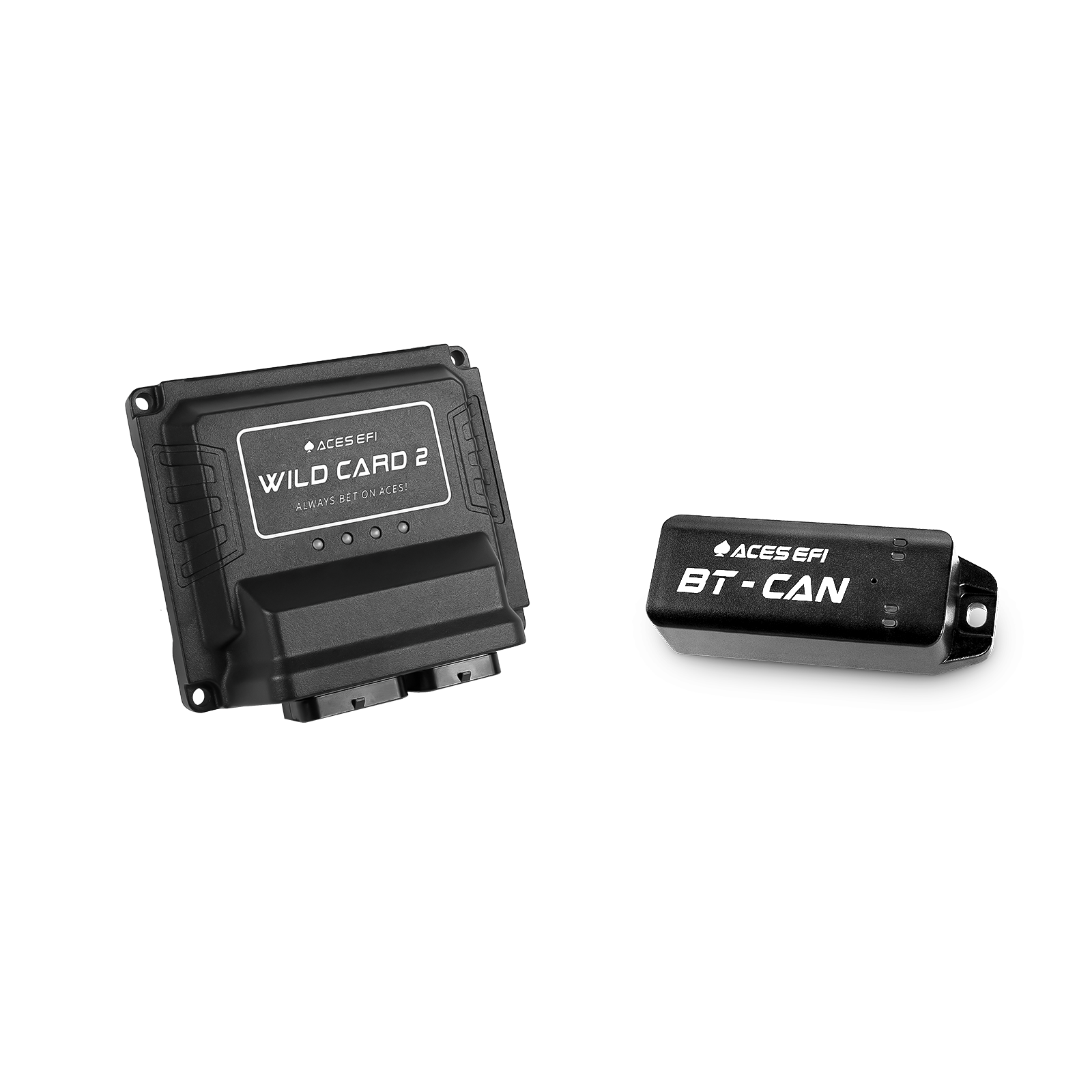 Wild Card EFI (Standalone)